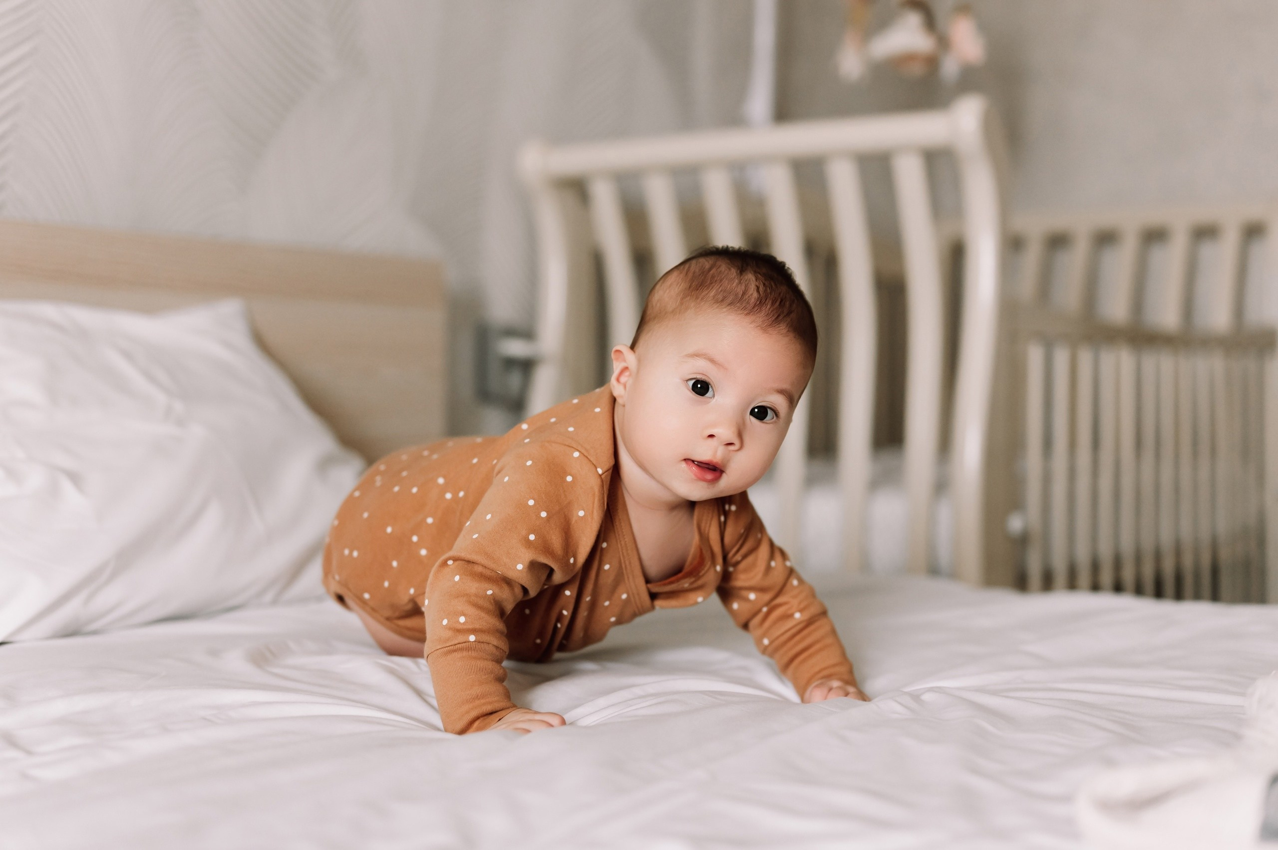 Кристина, Влад и Ева. Семейный и свадебный фотограф в Миассе Регина Малахова