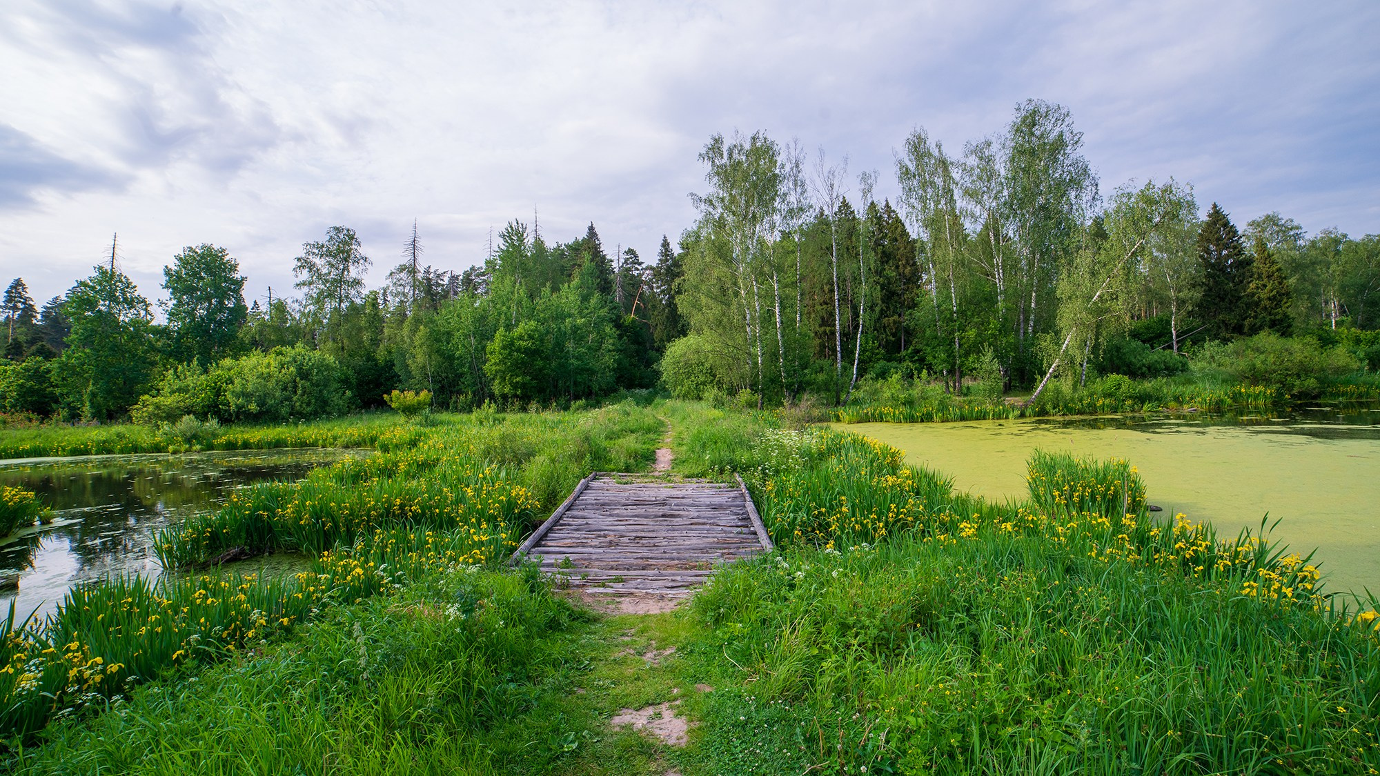 Природа. Ваш личный фотограф Марина Волкова