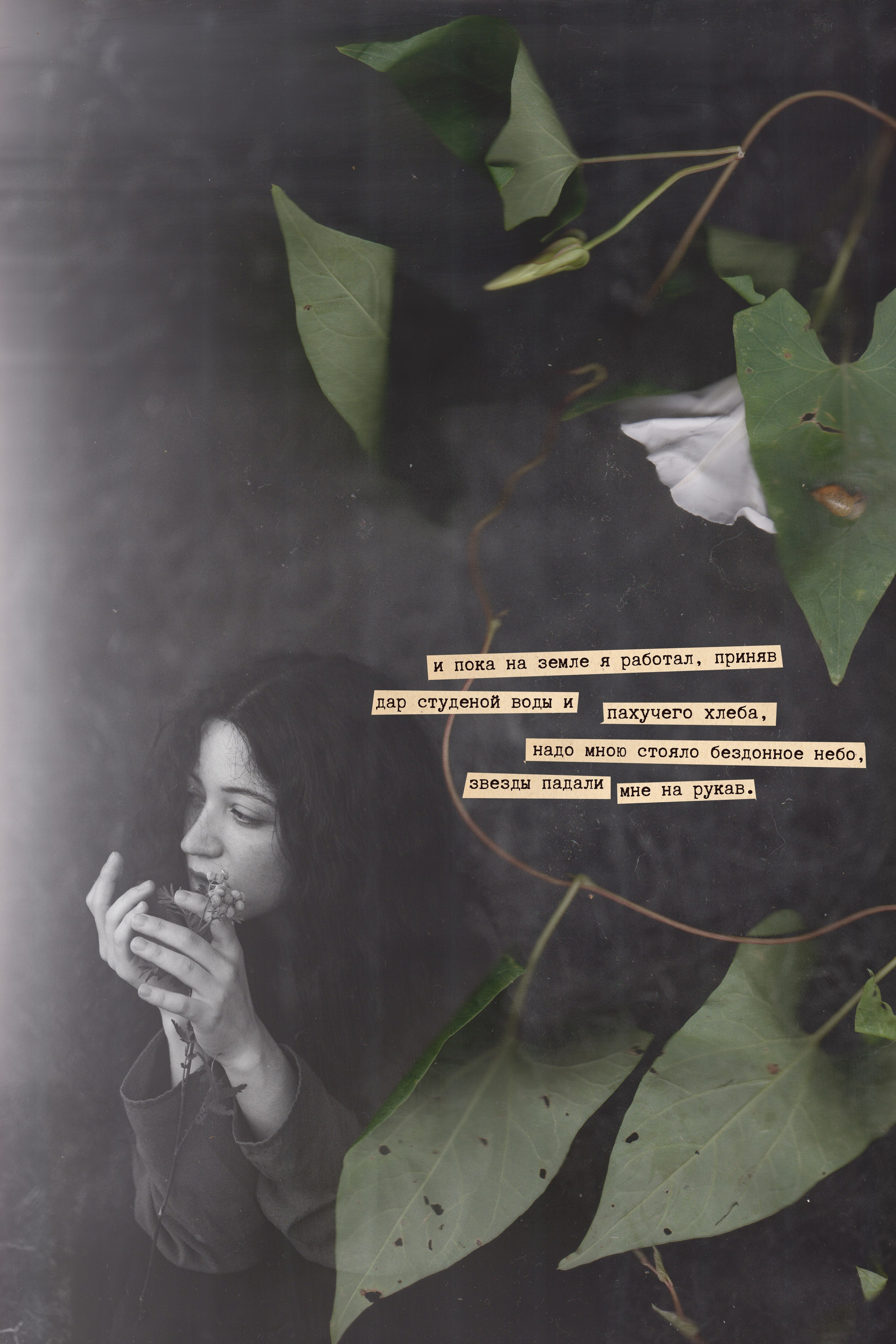 Анка. Фотограф в Москве, Электростали, Ногинске, Балашихе, Александра Кукушкина