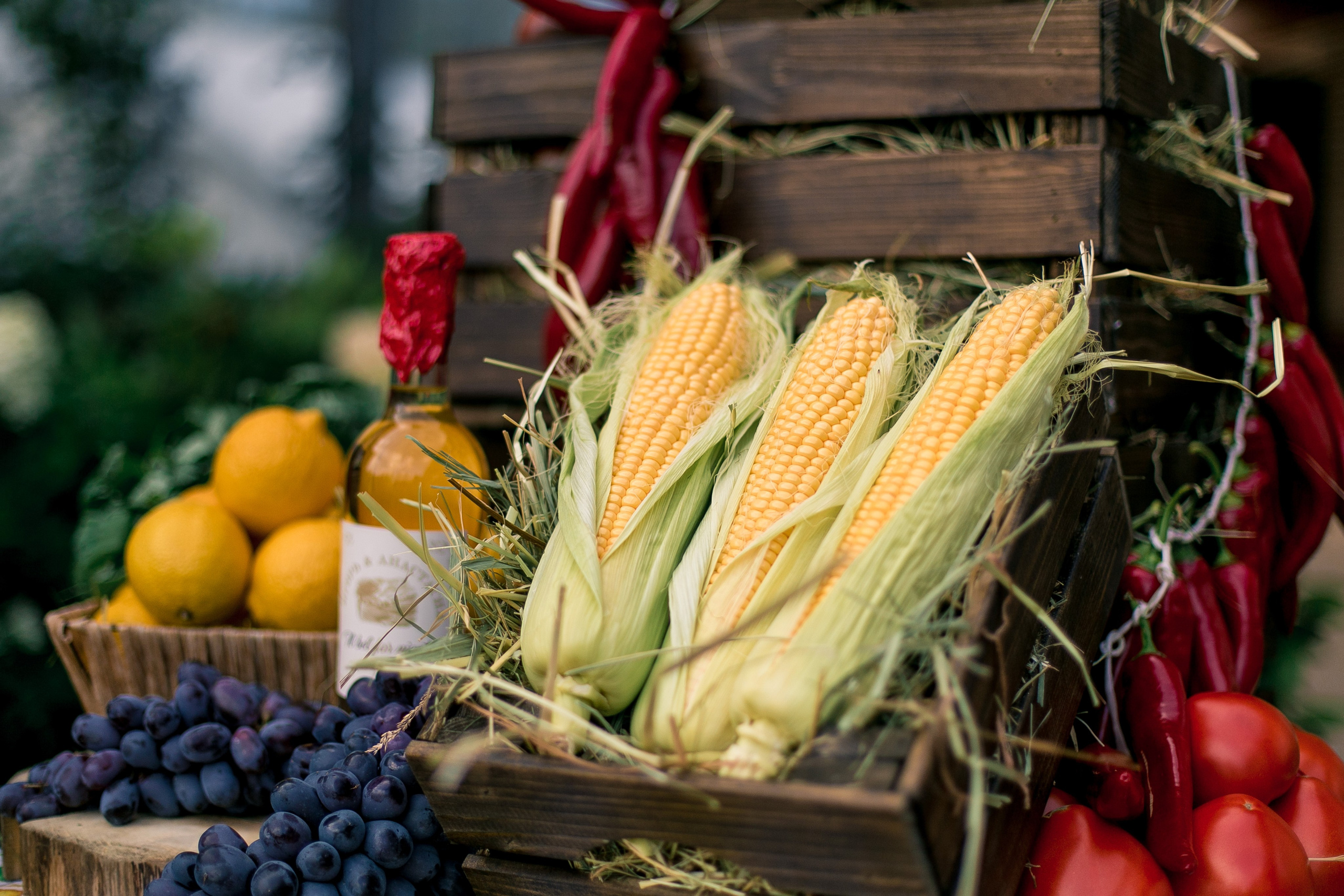 Новоселье. Репортажный фотограф Борис Геер