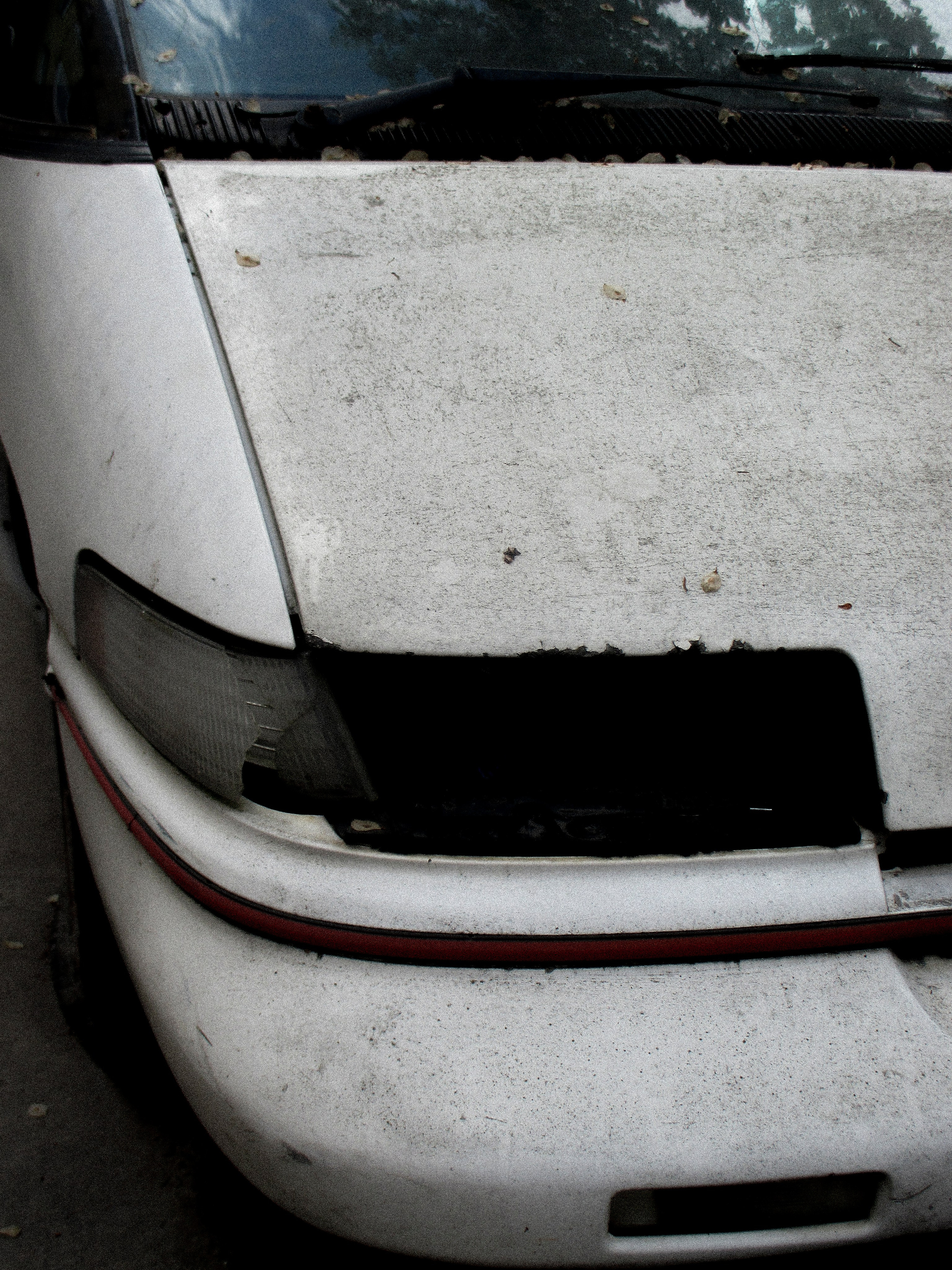 RANDOM. Nik Paustovskiy photography