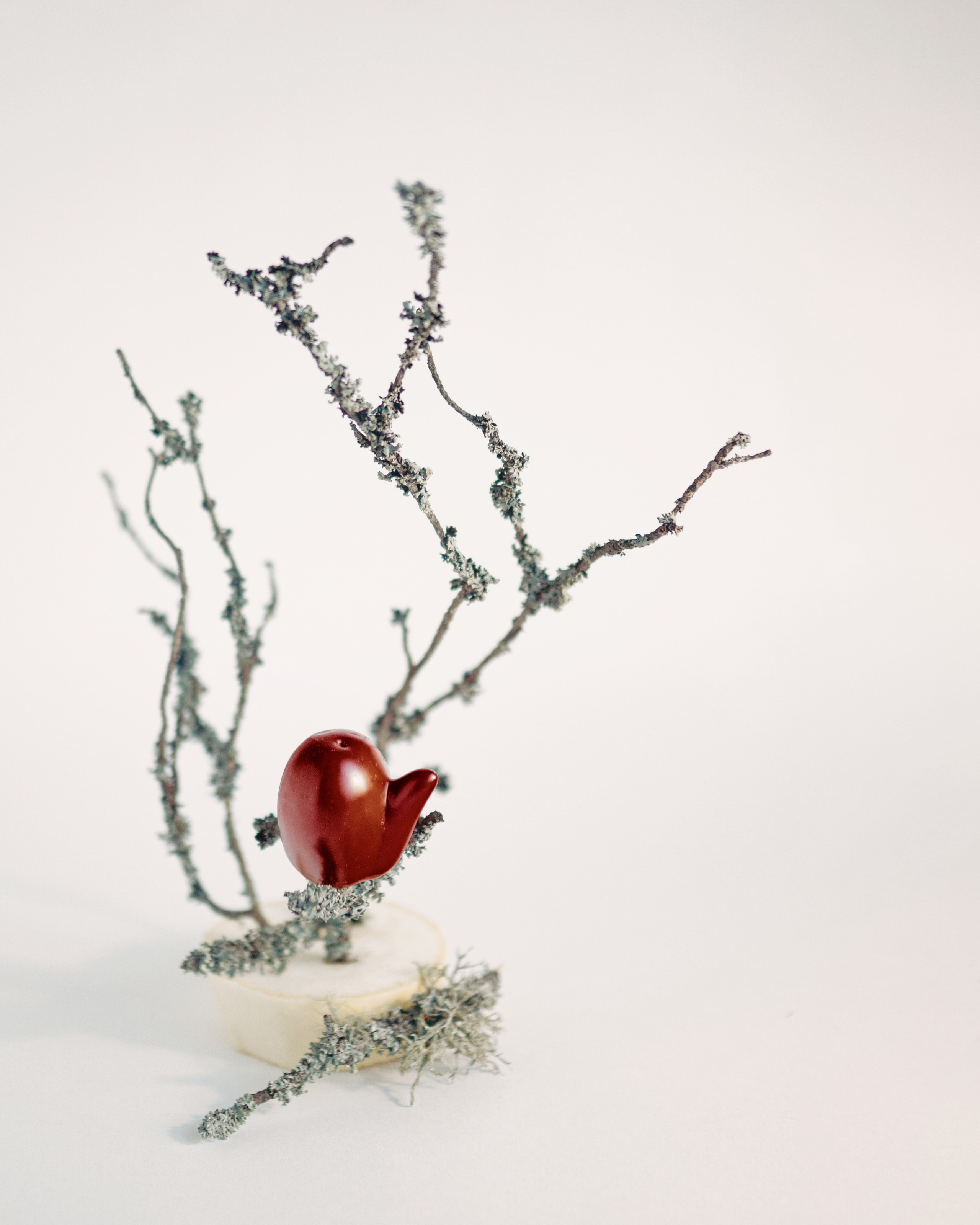 Still life. Евгений Бреча. Коммерческий и бэкстейдж фотограф в Москве