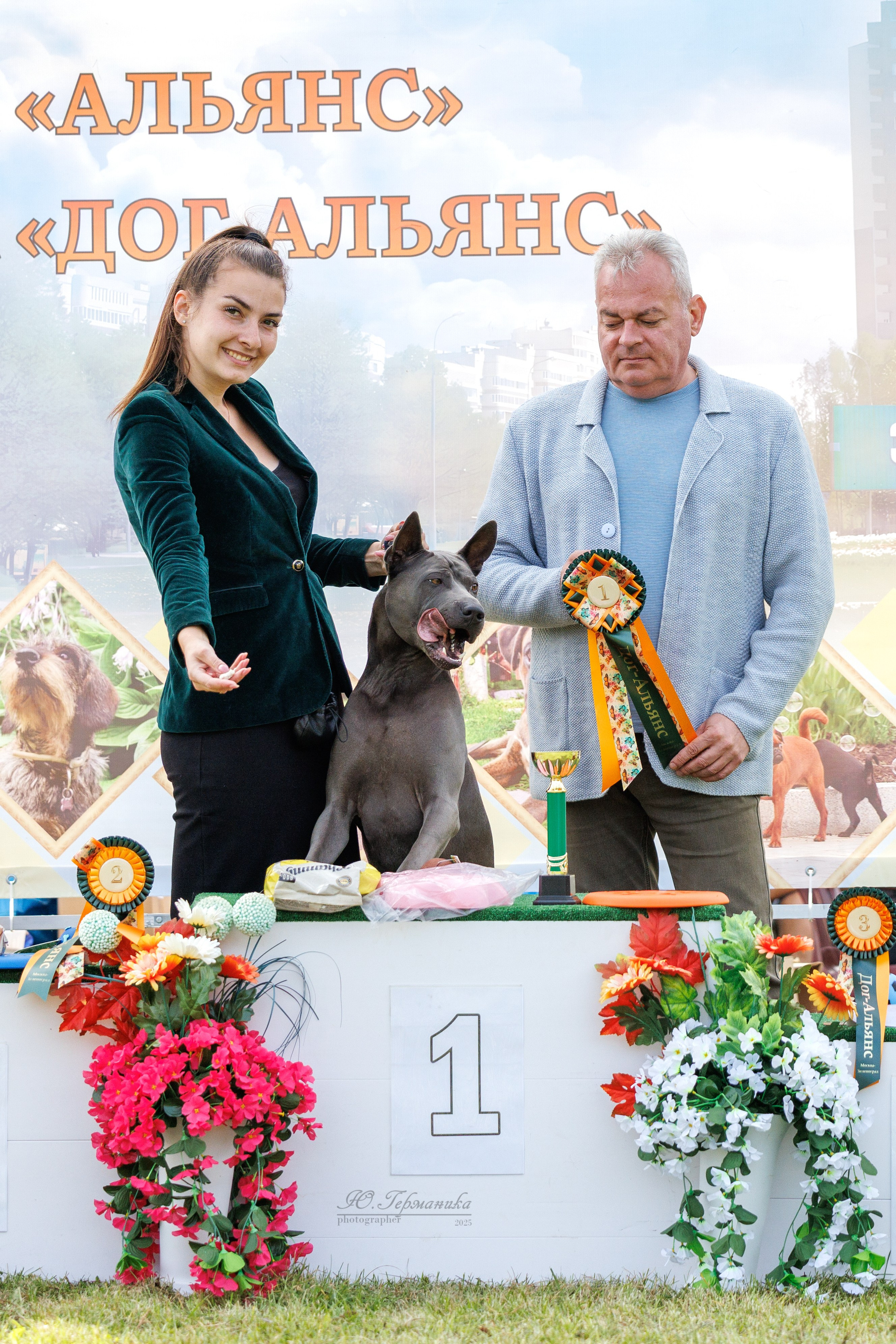 Зеленоград 13.09.2025. Фотограф-анималист Юлия Германика