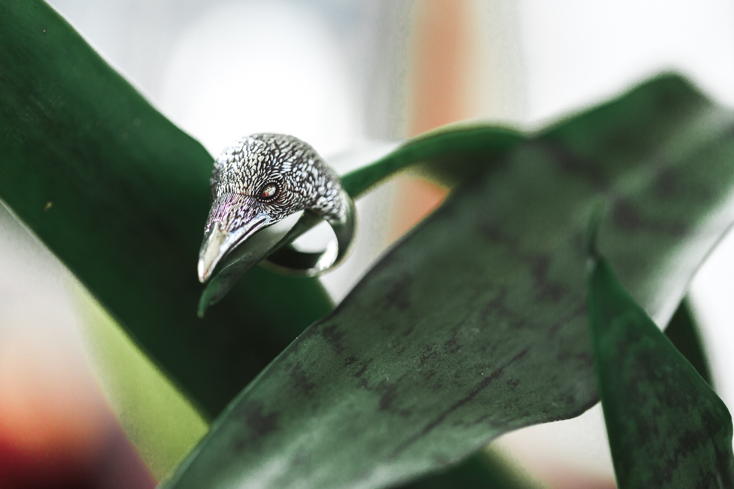 Предметка. Фотограф и фототренер Москва и Питер