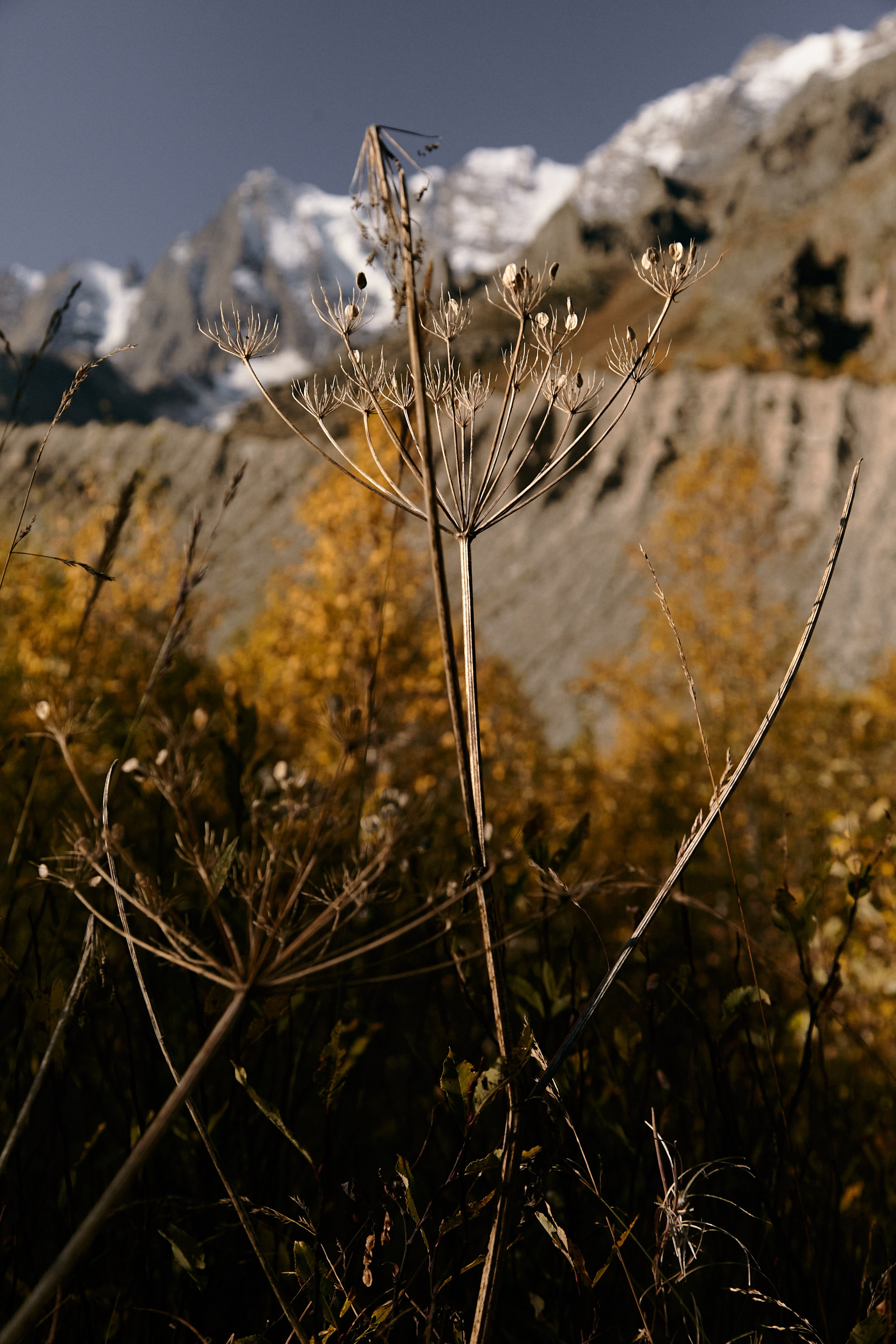 Чегем, дорога к леднику Шаурту. Фотограф Продюсер в горах КБР / Москва  Нальчик Горы