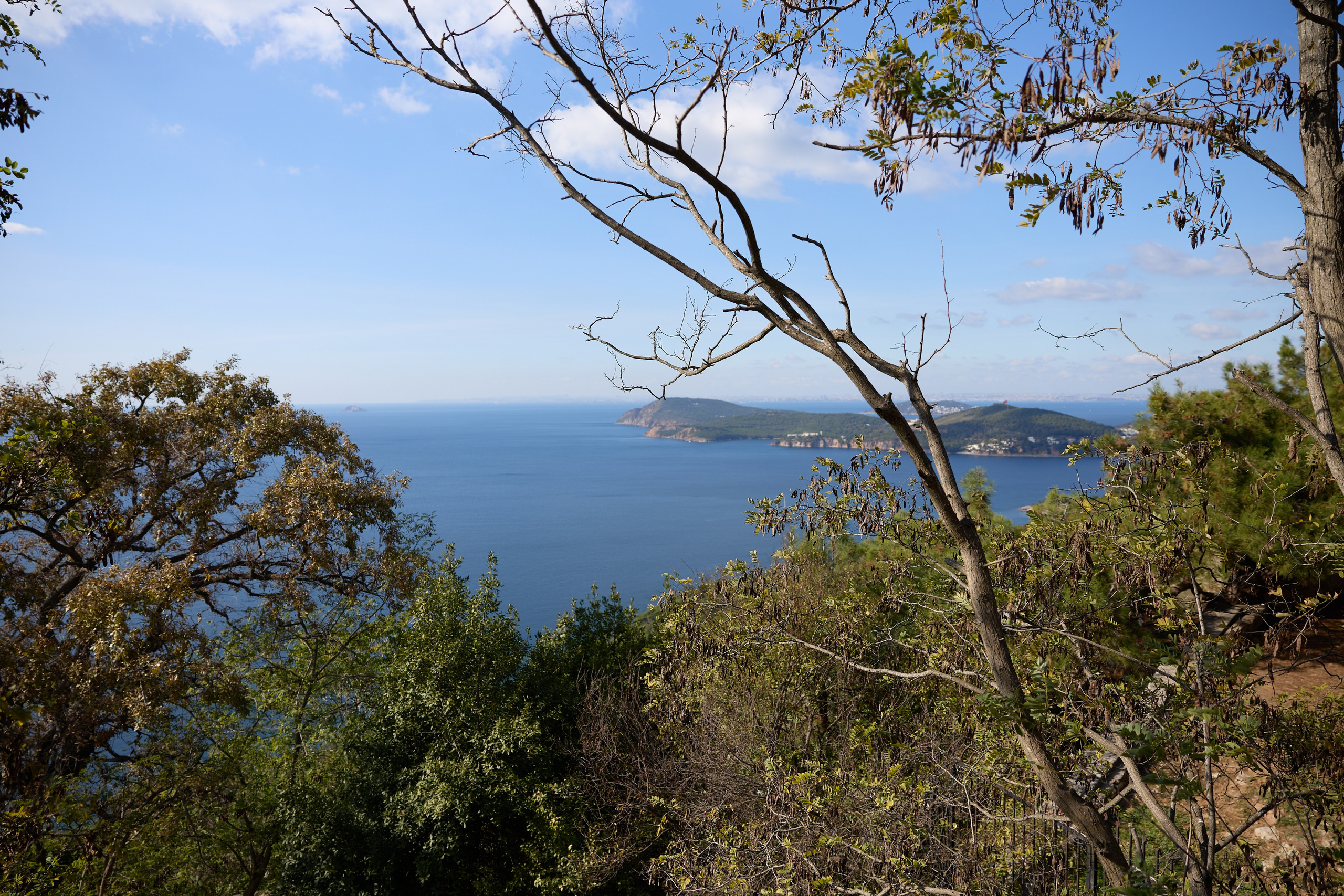 Стамбул 24. Фотограф Москва, Дима Пеллер