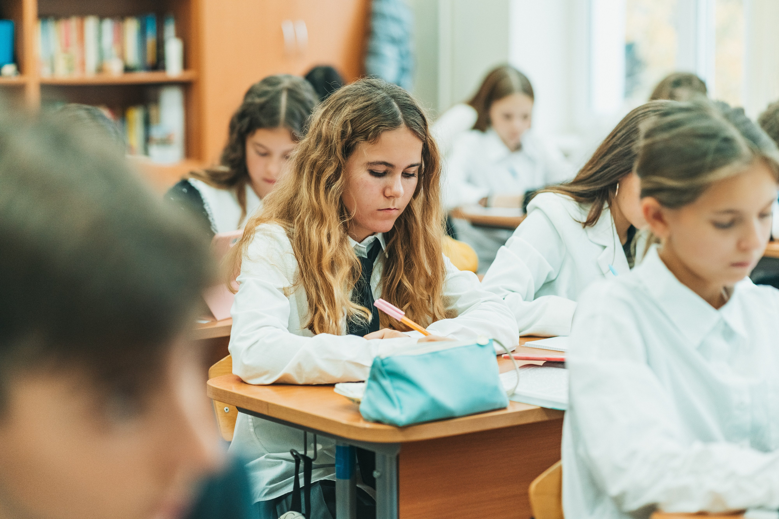 7 класс. Школьные альбомы и альбомы для детского сада. Юлия Осипова. Москва