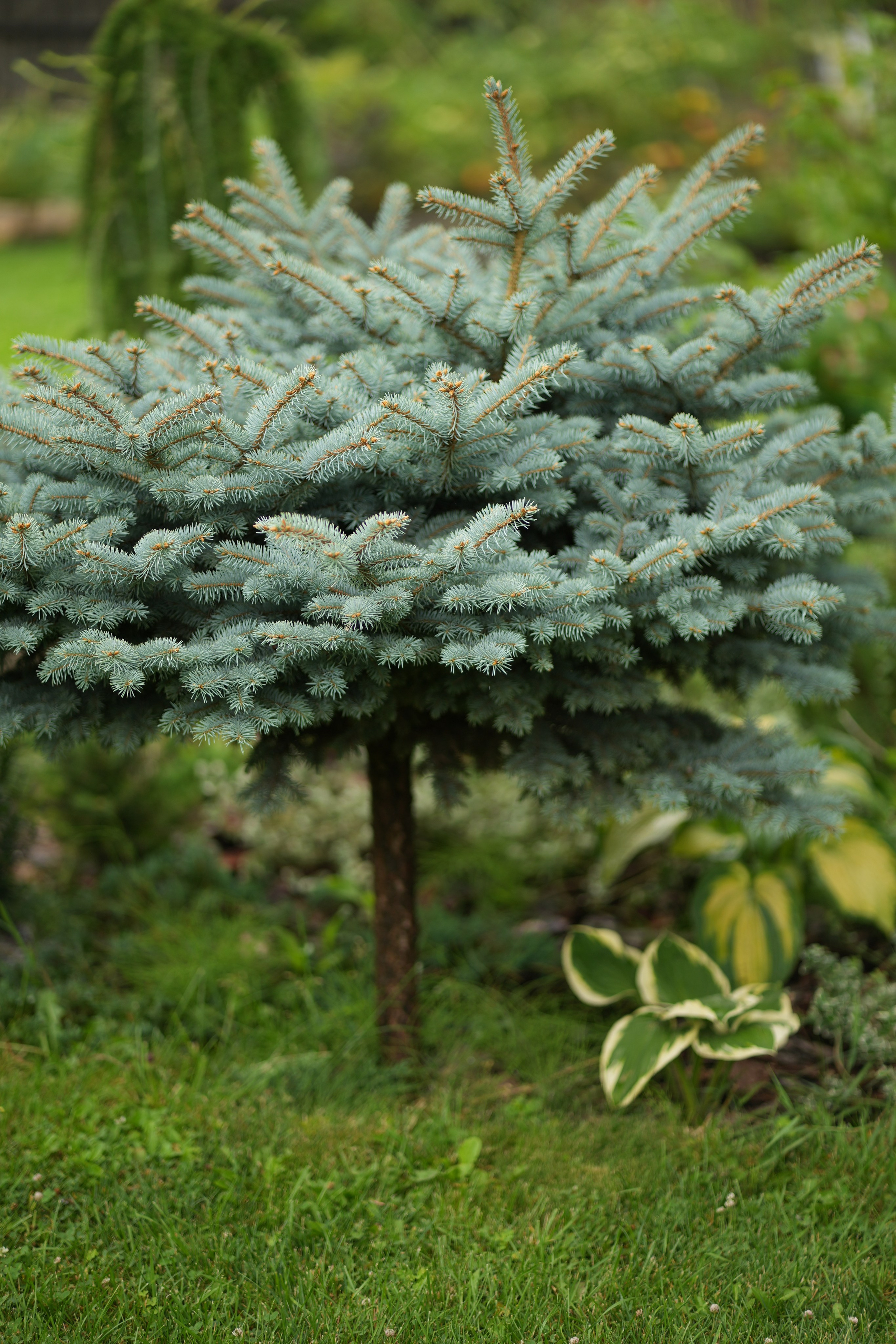 Час 1500 пример фотосессии пакет «ФОТО НА ПАМЯТЬ» (без обработки). Фотограф Нижний Новгород Татьяна Кэйод