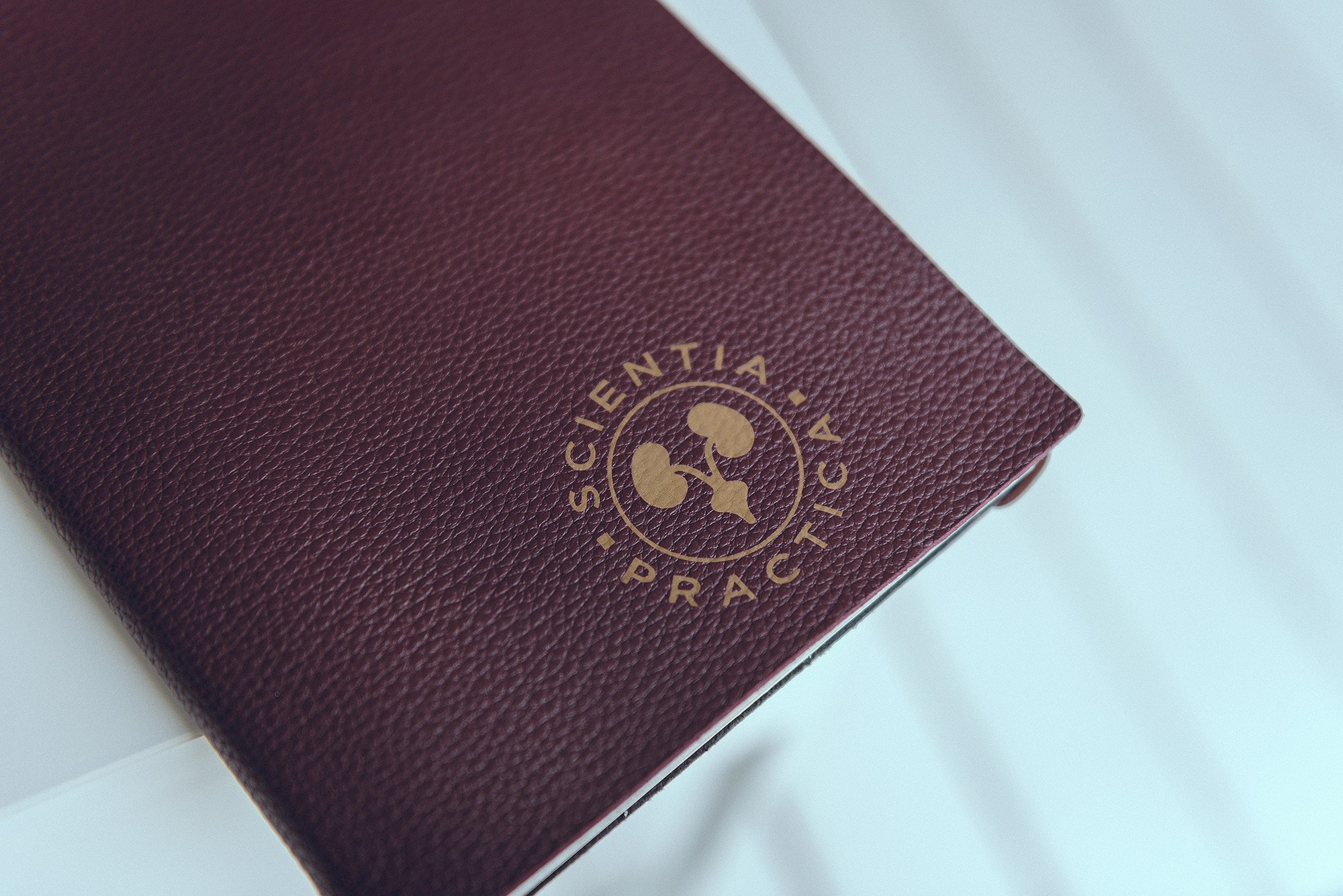 Александр. Фотограф Ростов-на-Дону Белла Керимова