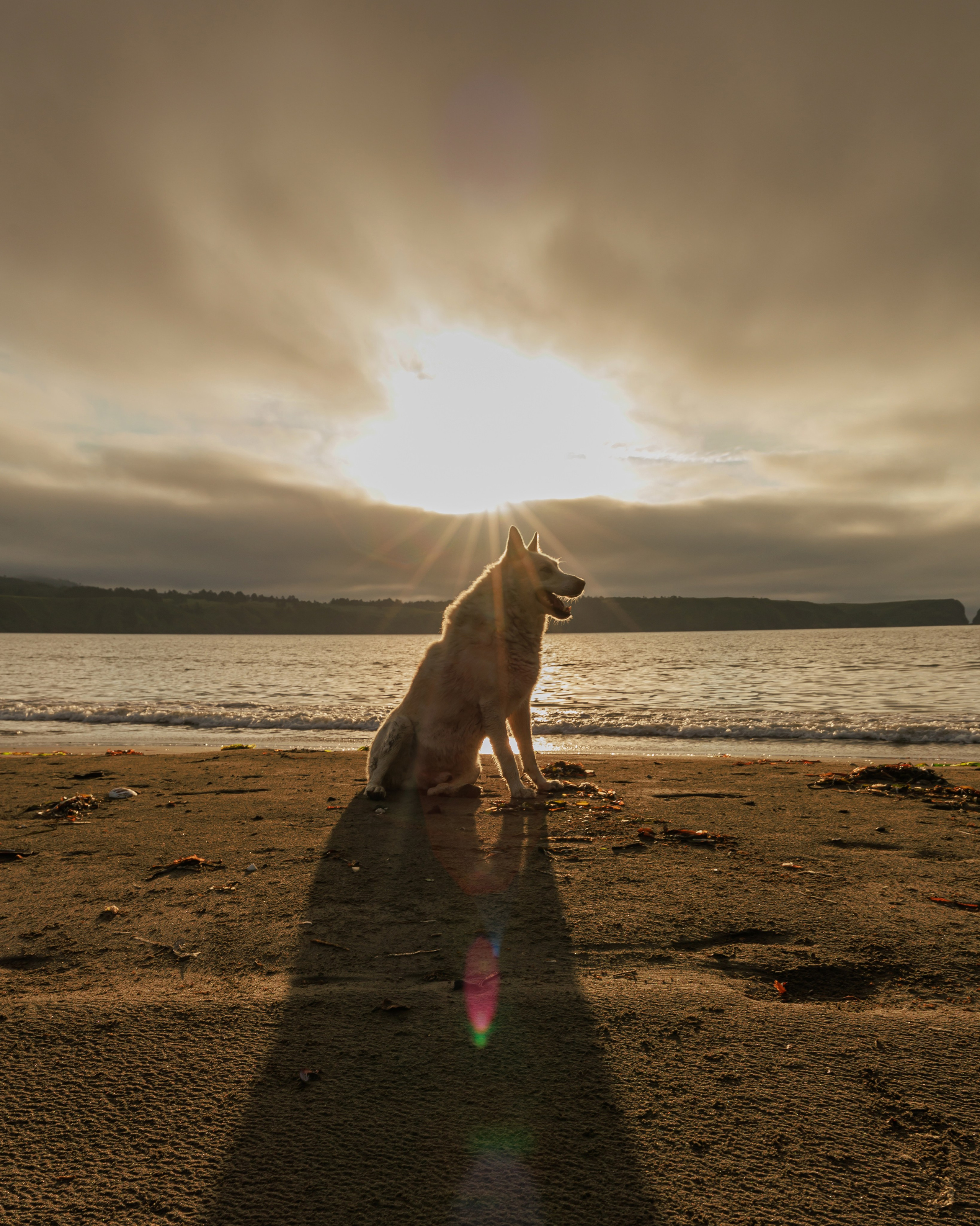 Travel. Индивидуальная и семейная съёмка. Москва, Наталья Самохвалова