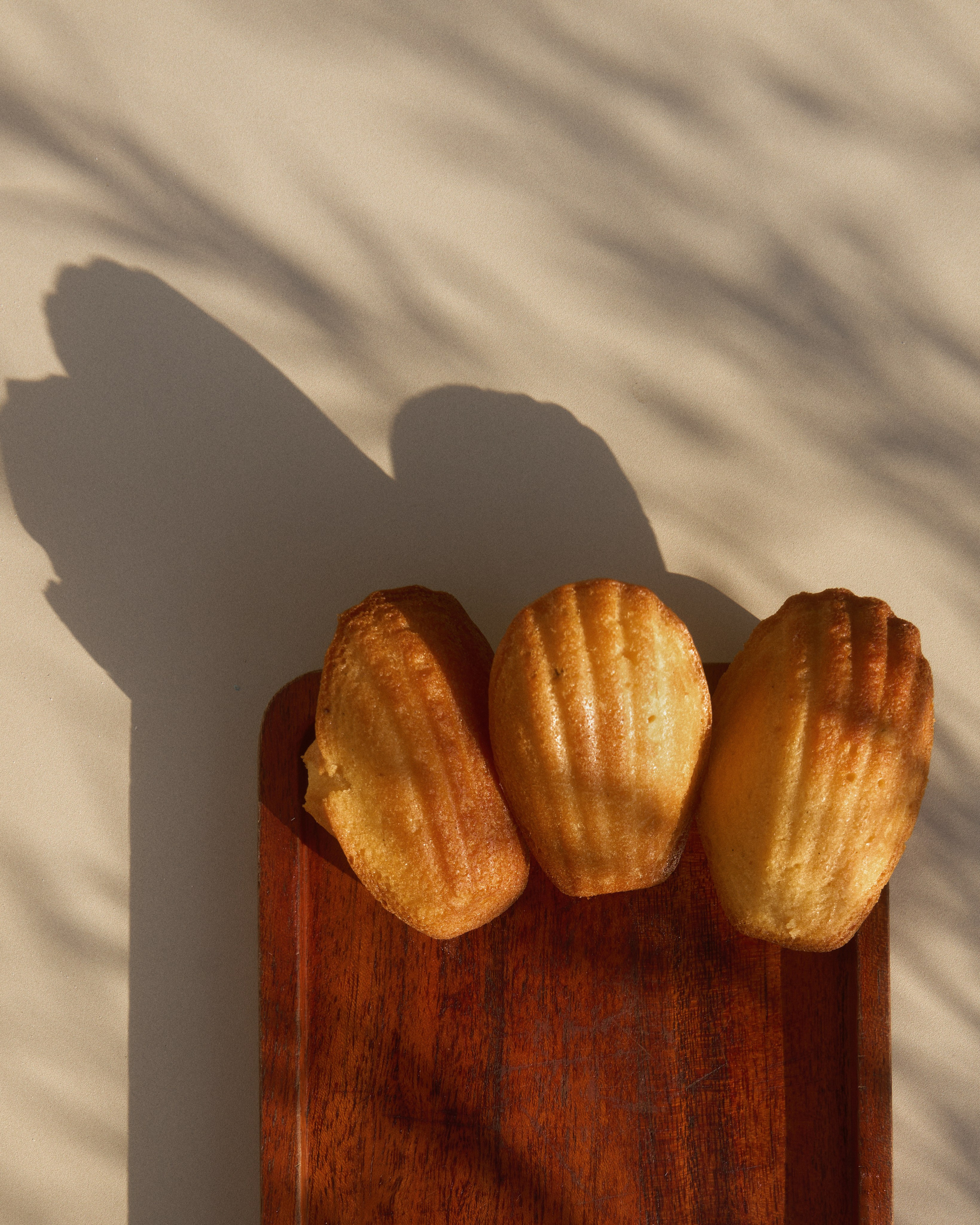 Content for ABC COFFEE ROSTERS. Nadezhda Diskant is a Moscow and Saint Petersburg based photographer