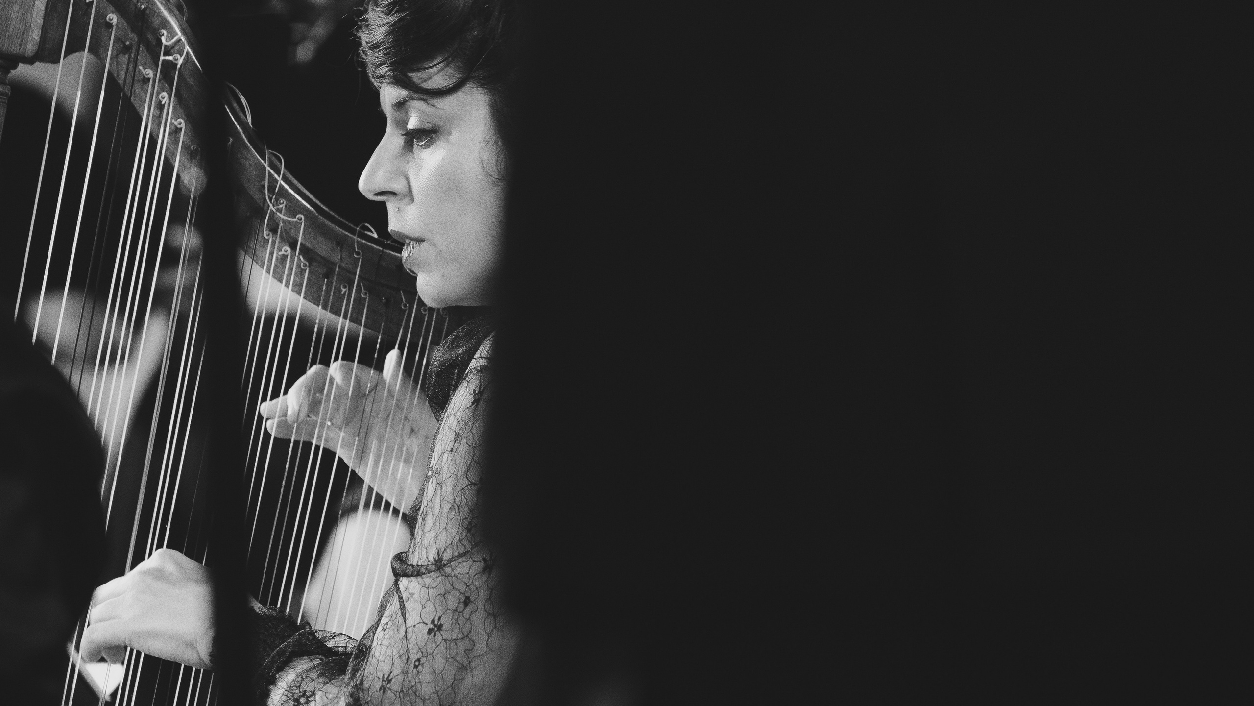 Концерты. Фотограф Антон Баклыков