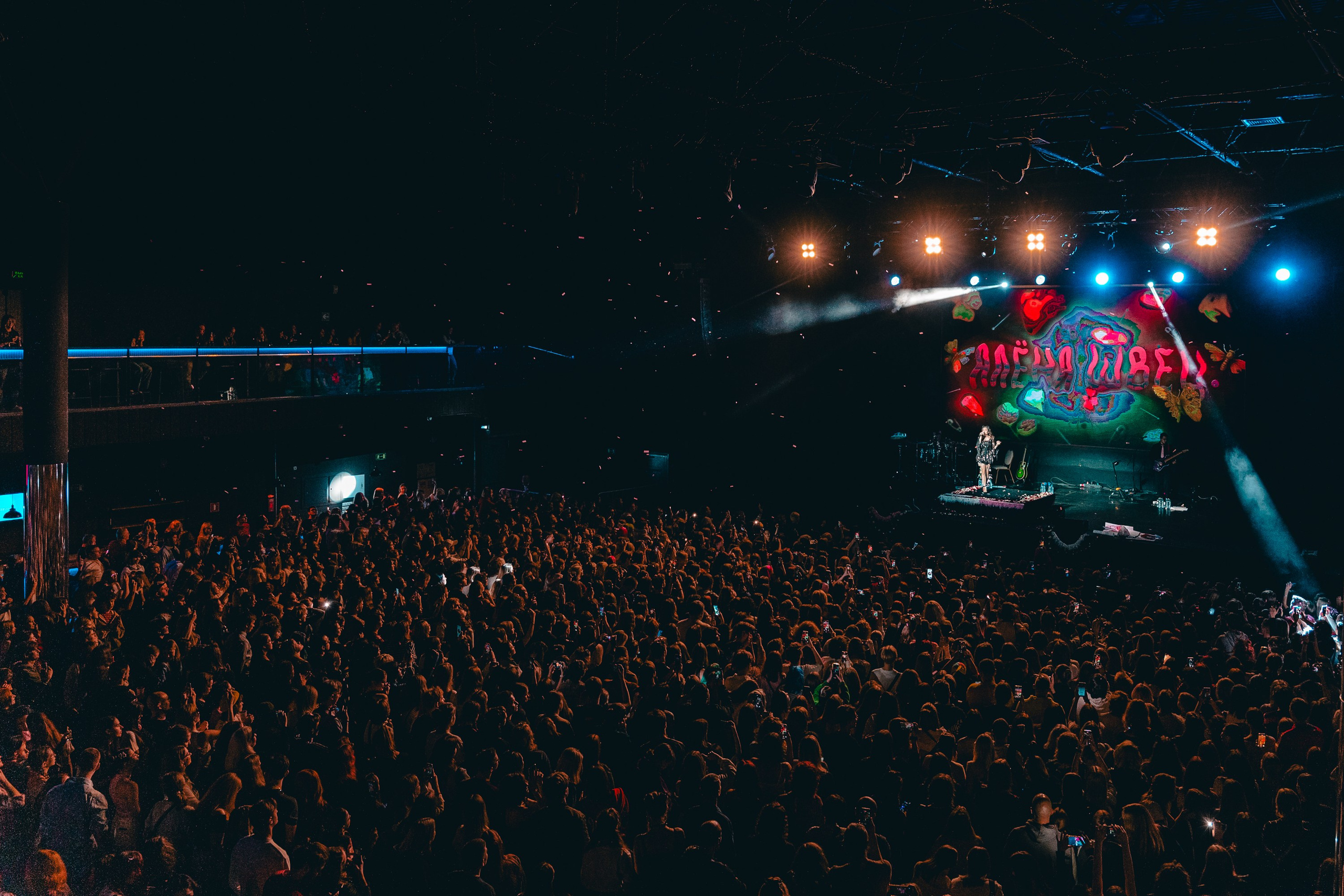 Алена Швец. Магия музыки в кадре: Концертная Фотография