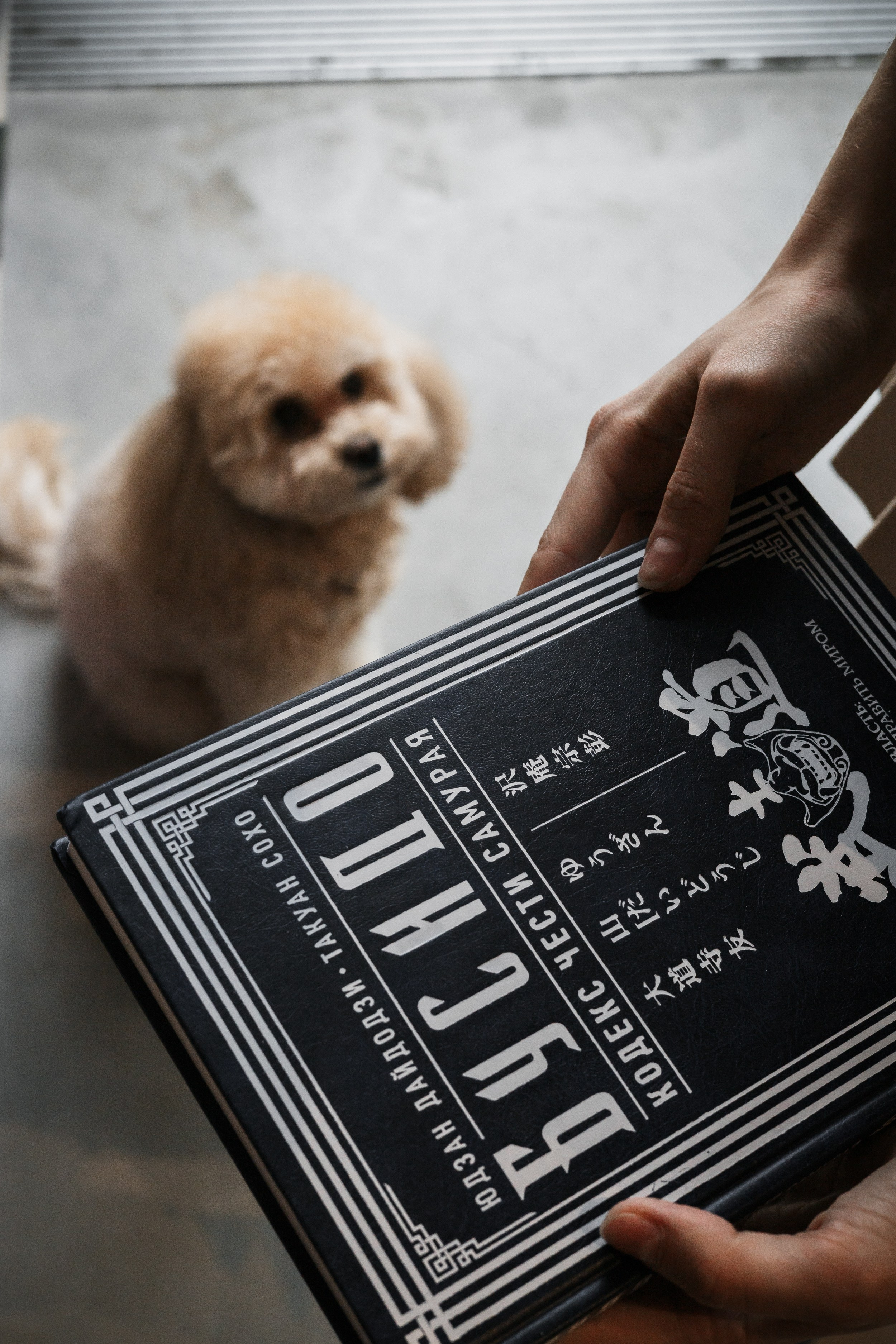 Алина — прогулка