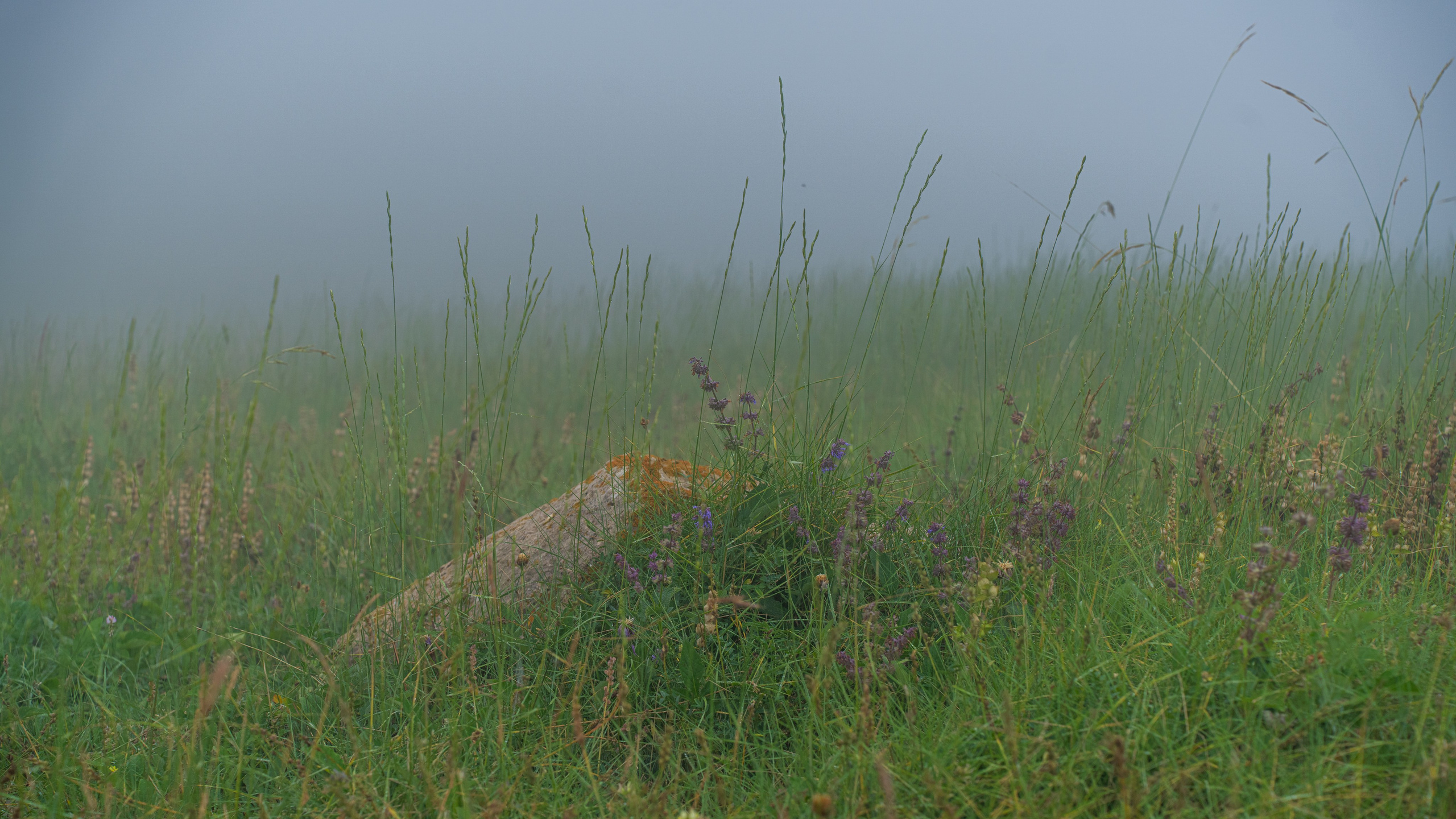 Дагестан. Фотограф в Москве. Шахабудин