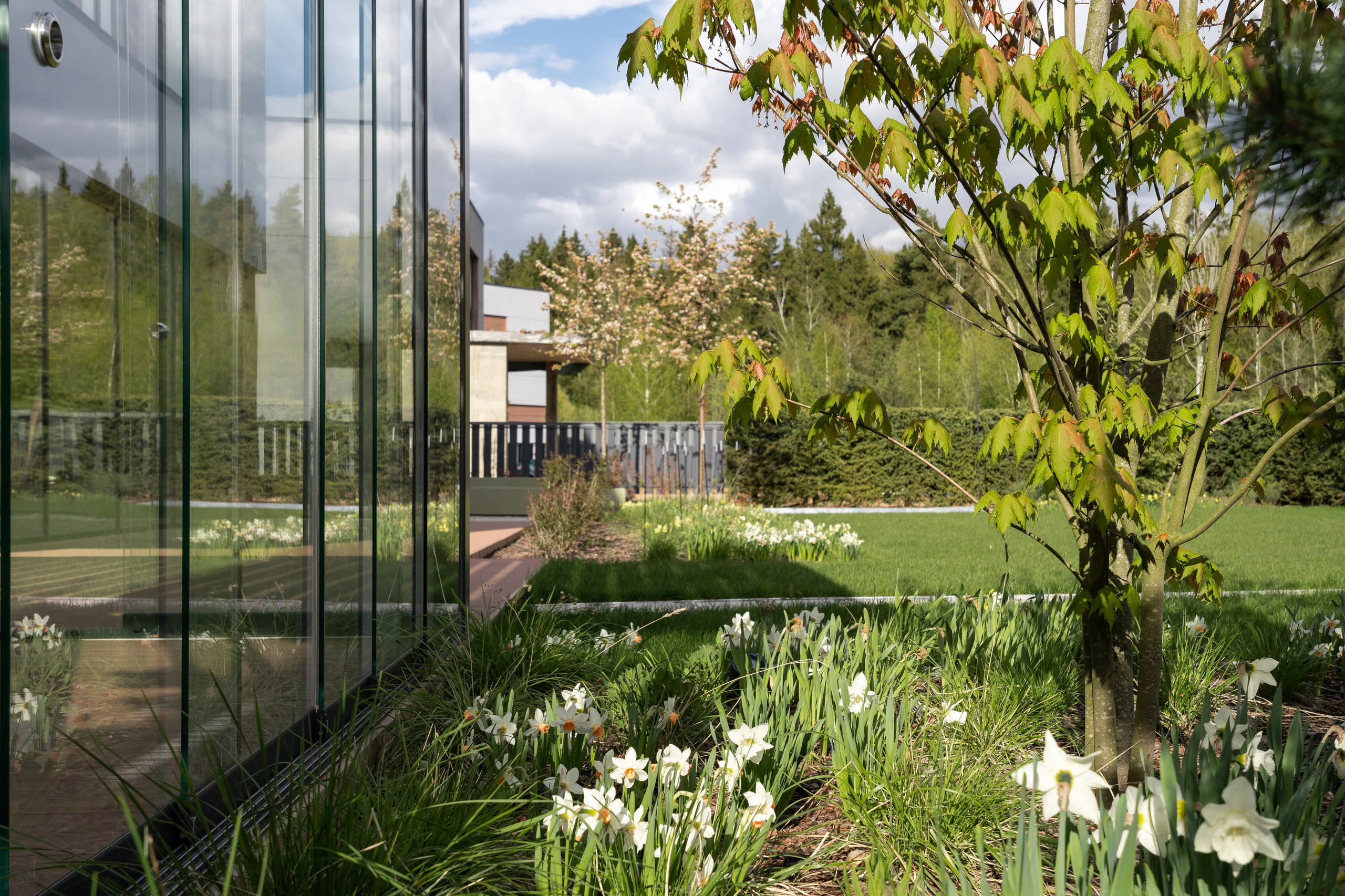 Blooming in the garden, Moscow region. Артамонов Александр | Архитектурный и ландшафтный фотограф