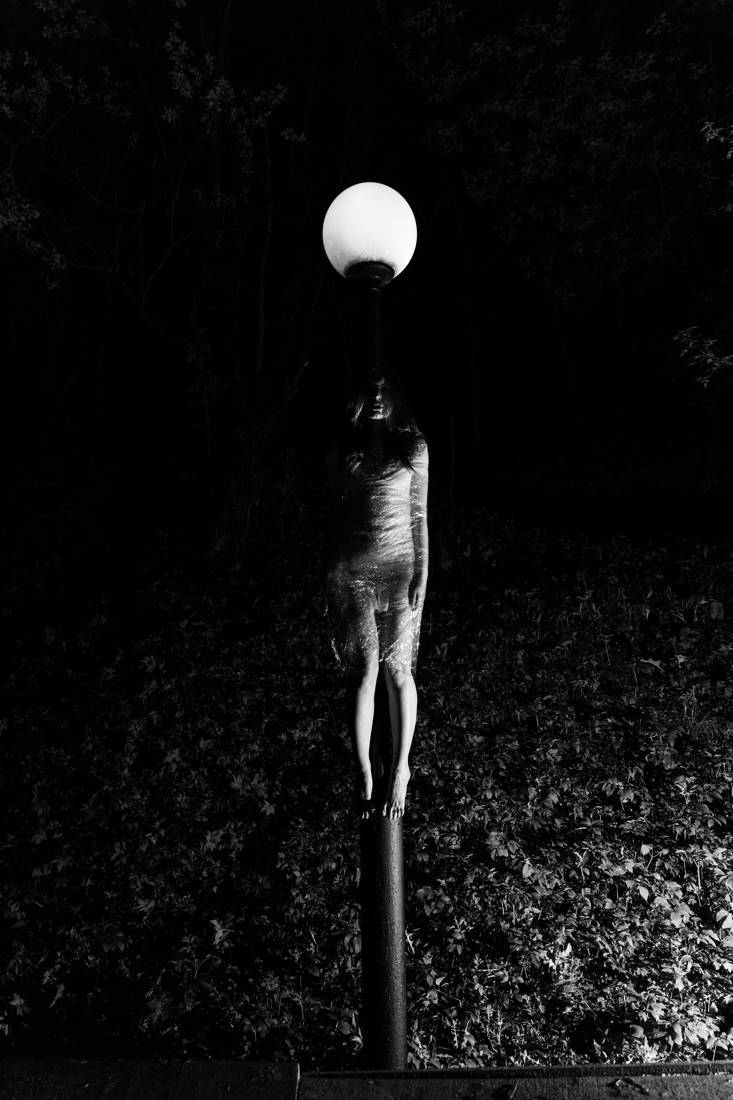 Ви. Фотограф в Москве, Дмитрий Горбатов