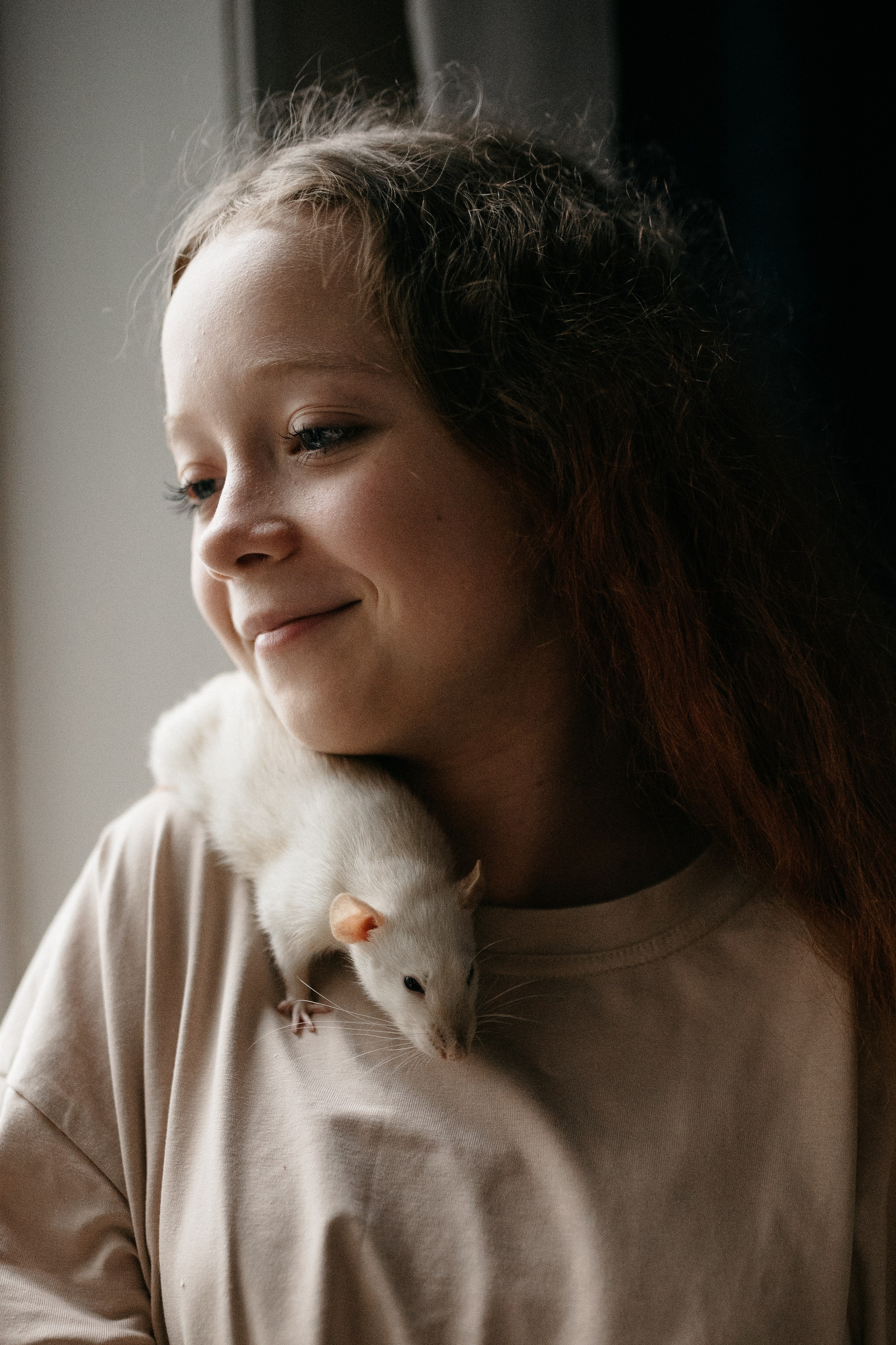 Даша, Диана, Дебби и маленькая крыска. Фотограф анималист в Москве Ольга Агушева