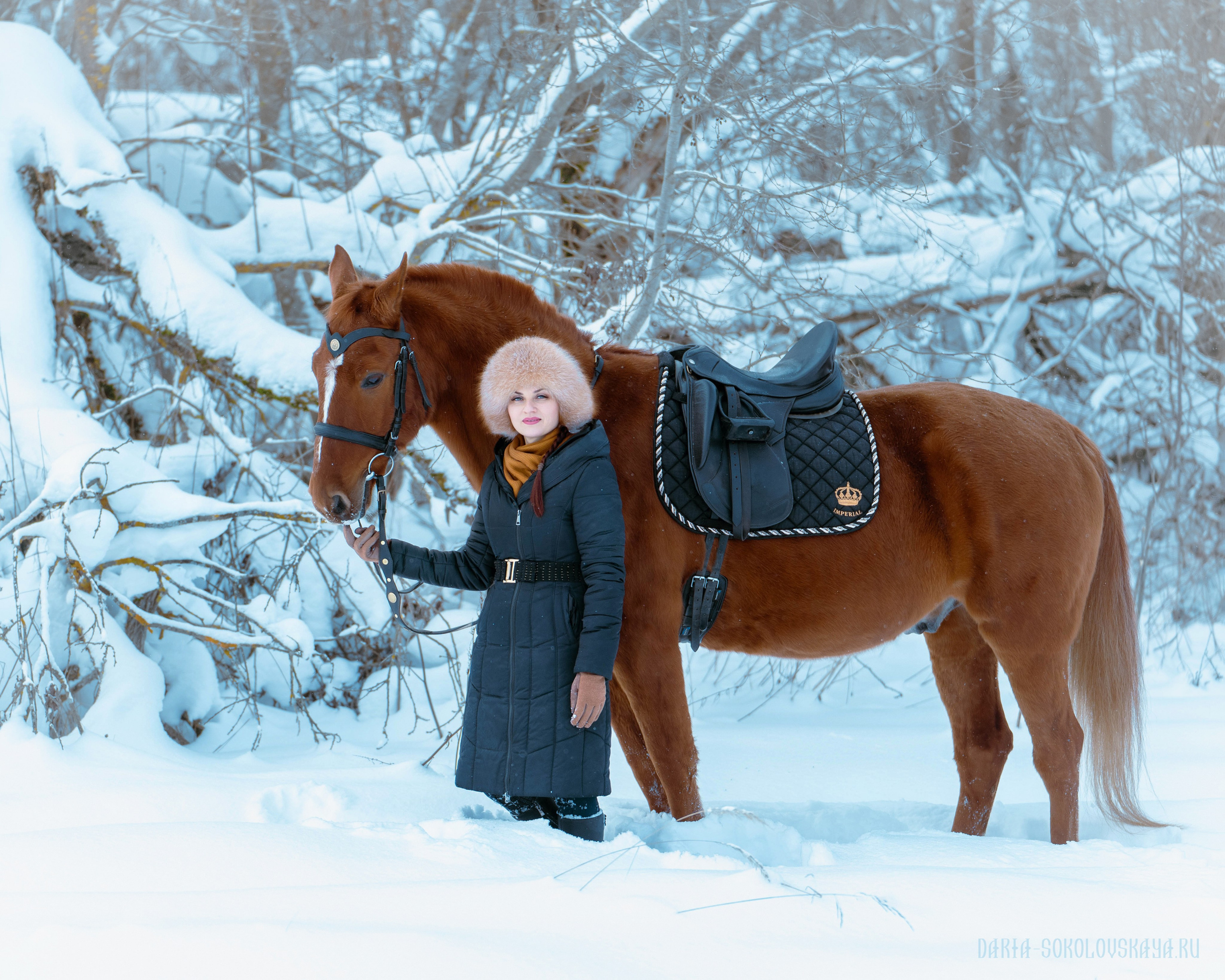 Зимнее поле. Фотограф Дарья Соколовская