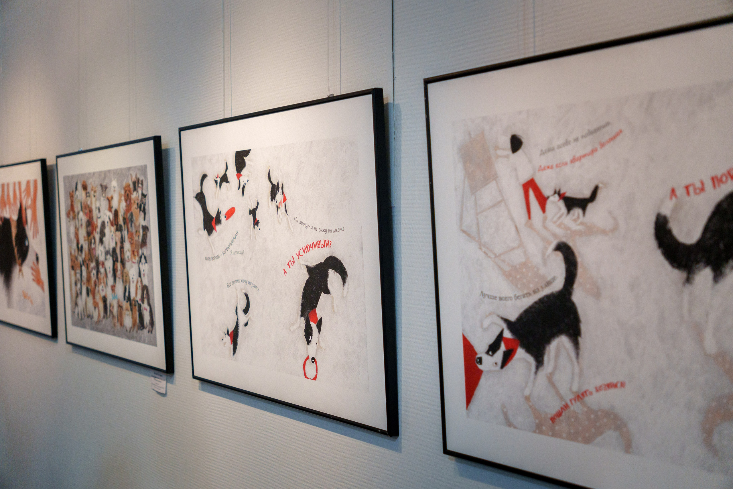 Открытие 11 фестиваля анималистики «Зооарт». Фотограф в Санкт-Петербурге Ибрагимова Алина