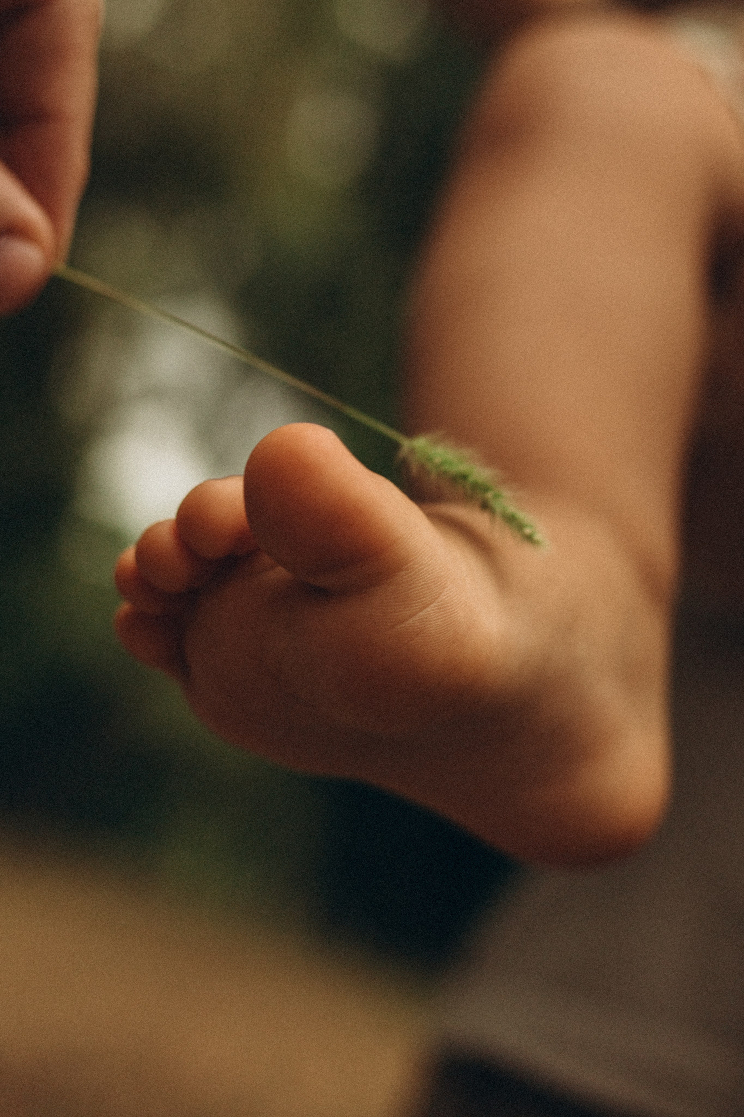 Лев и его команда. Семейный фотограф в Краснодаре Яна Морева
