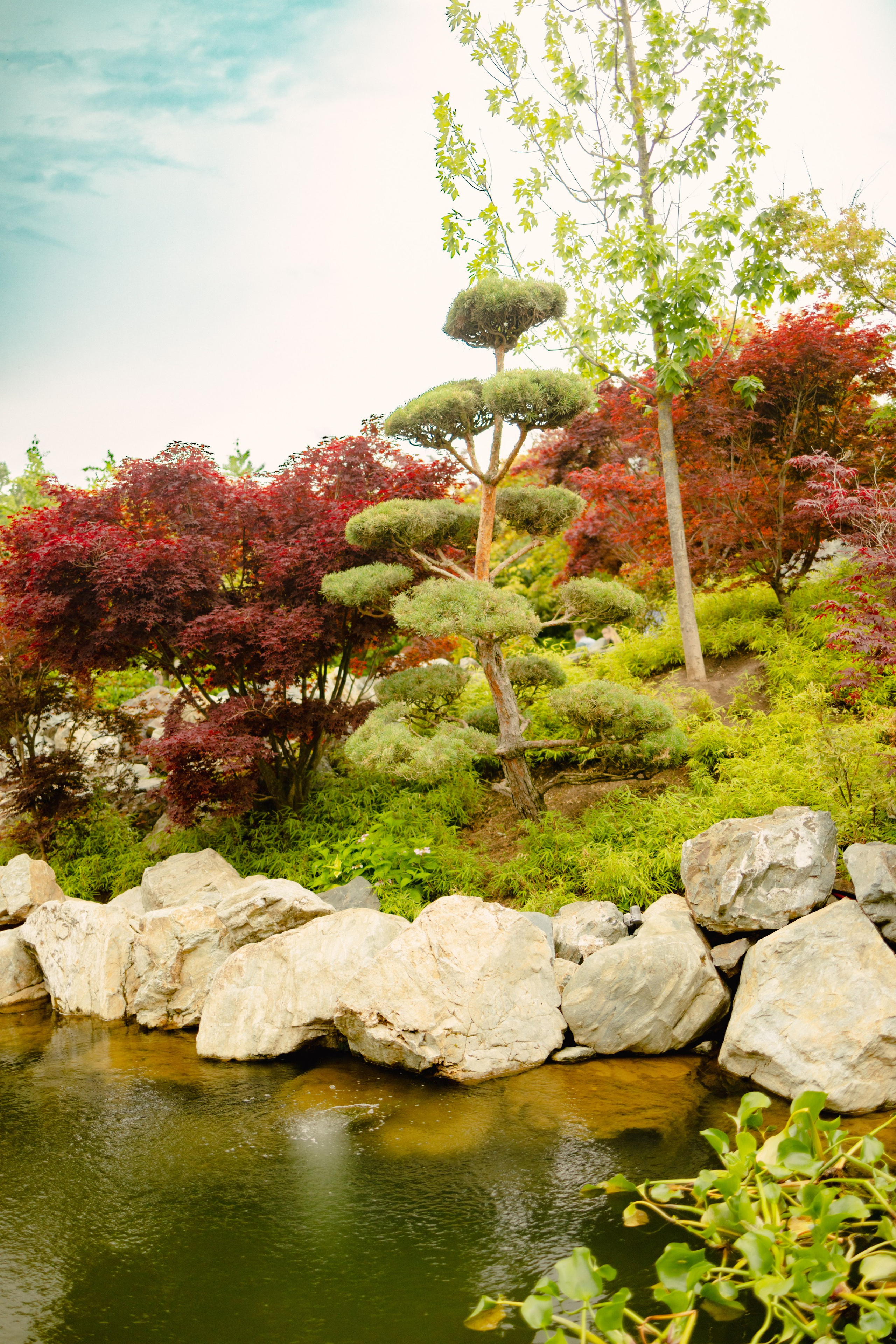 Японский сад в Краснодаре. Профессиональный фотограф и видеооператор