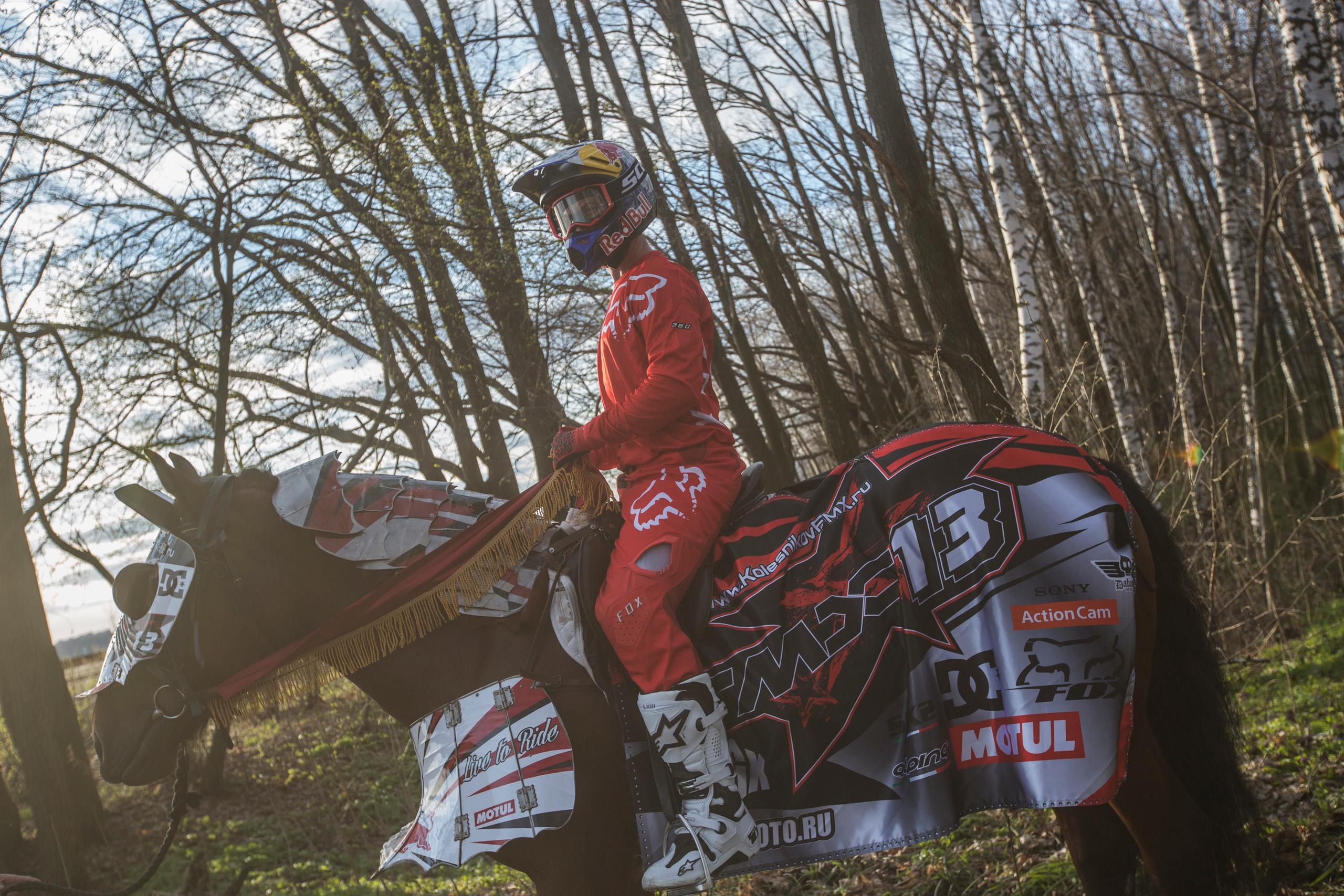 Iron Horse. Creative photographer Denis Klero