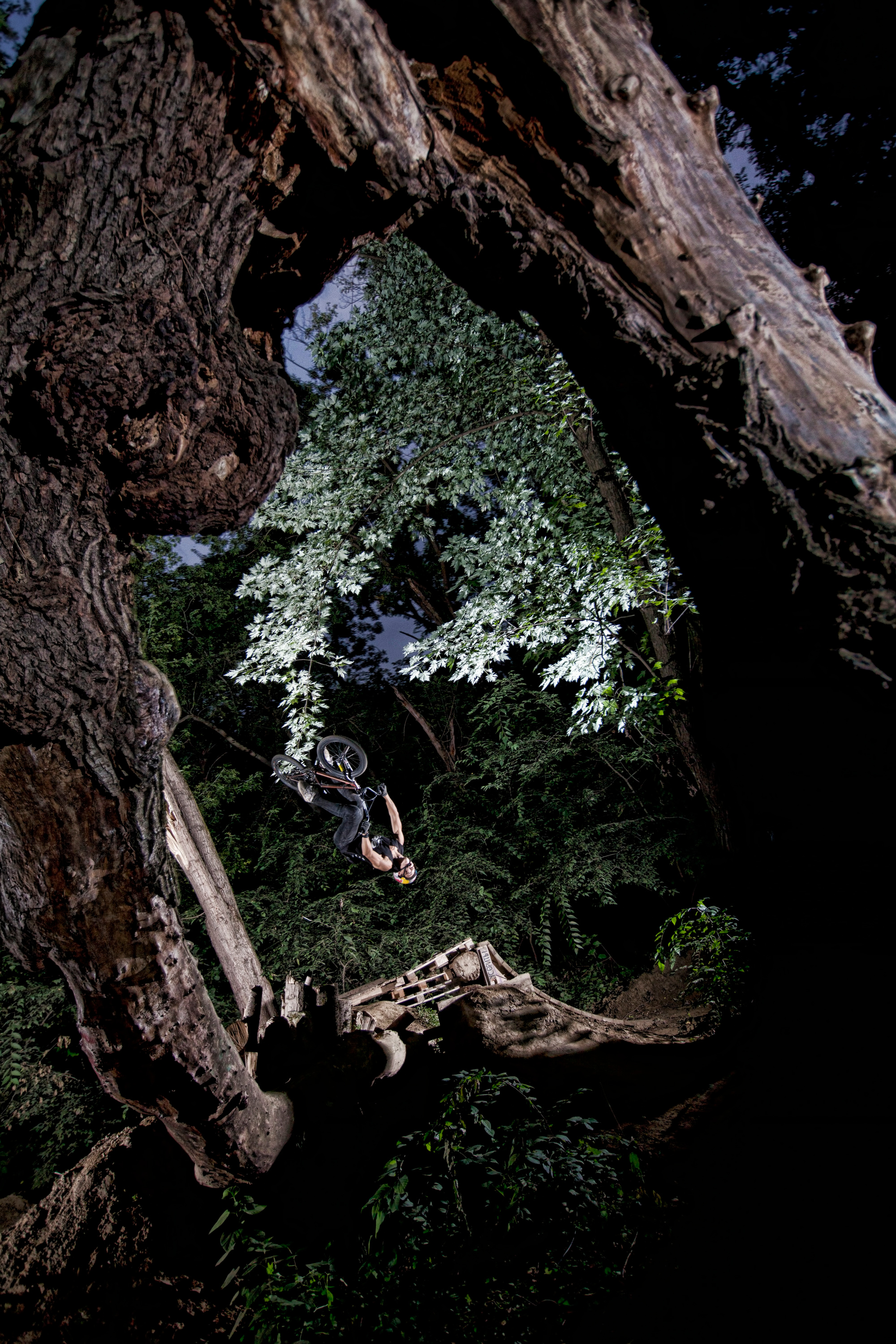 Others. Creative Photographer Denis Klero