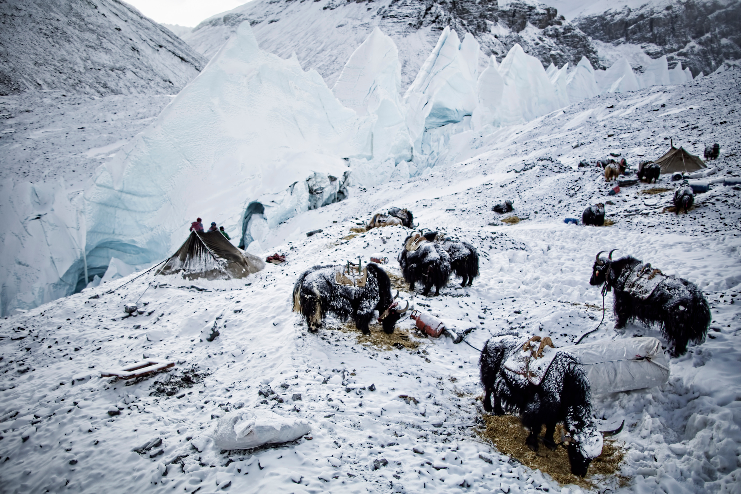 BASE jumping. Creative photographer Denis Klero