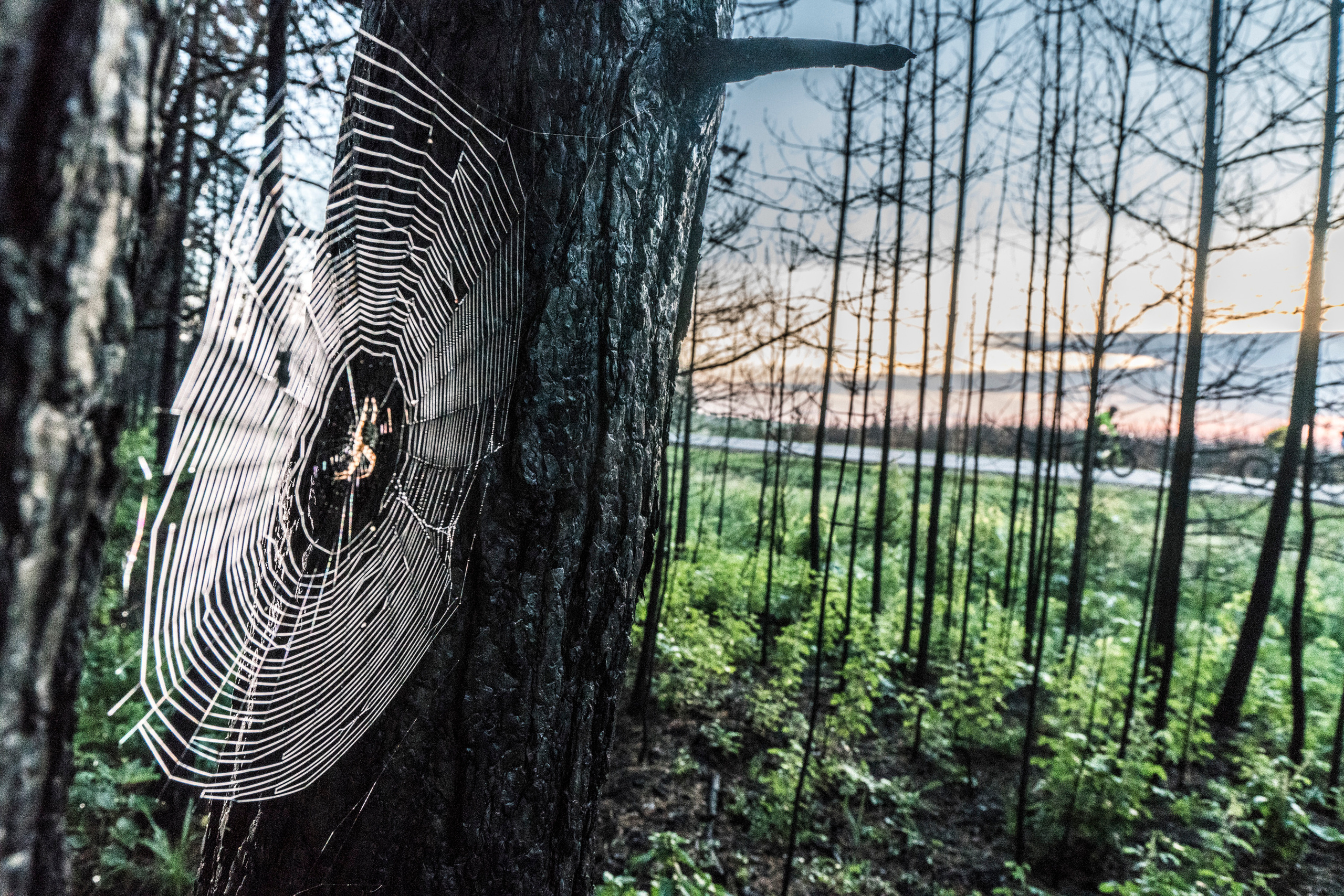 Cycling 9000 km. Creative Photographer Denis Klero