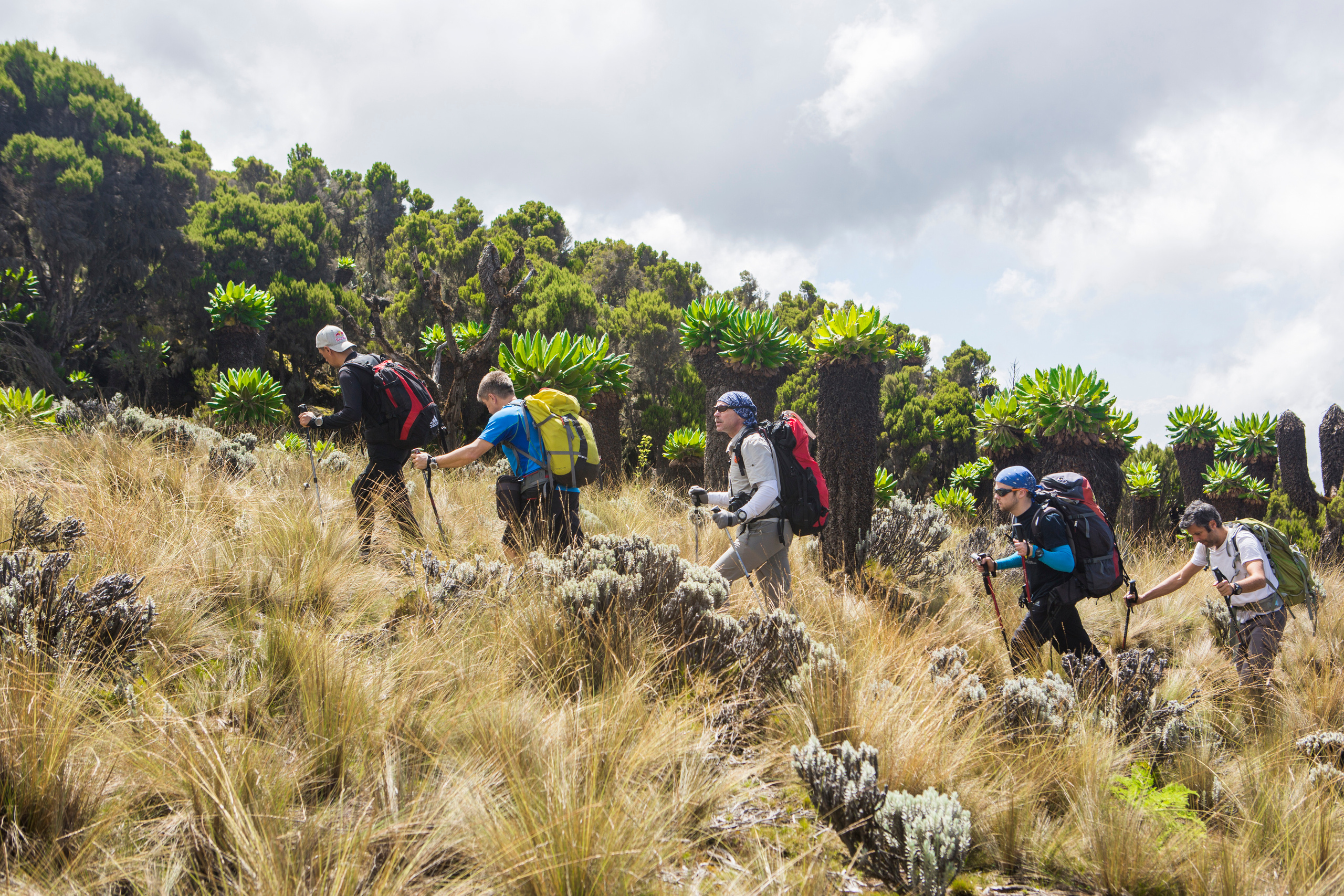 BASE jumping. Creative photographer Denis Klero