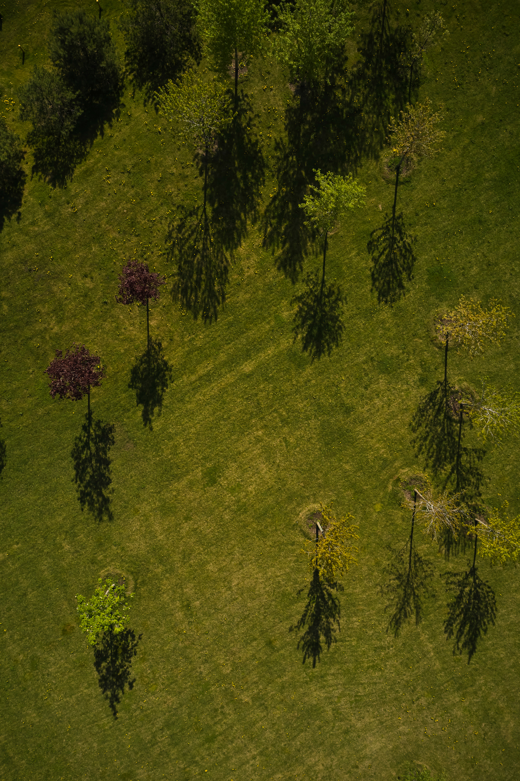 Аэросъёмка. Creative photographer Denis Klero