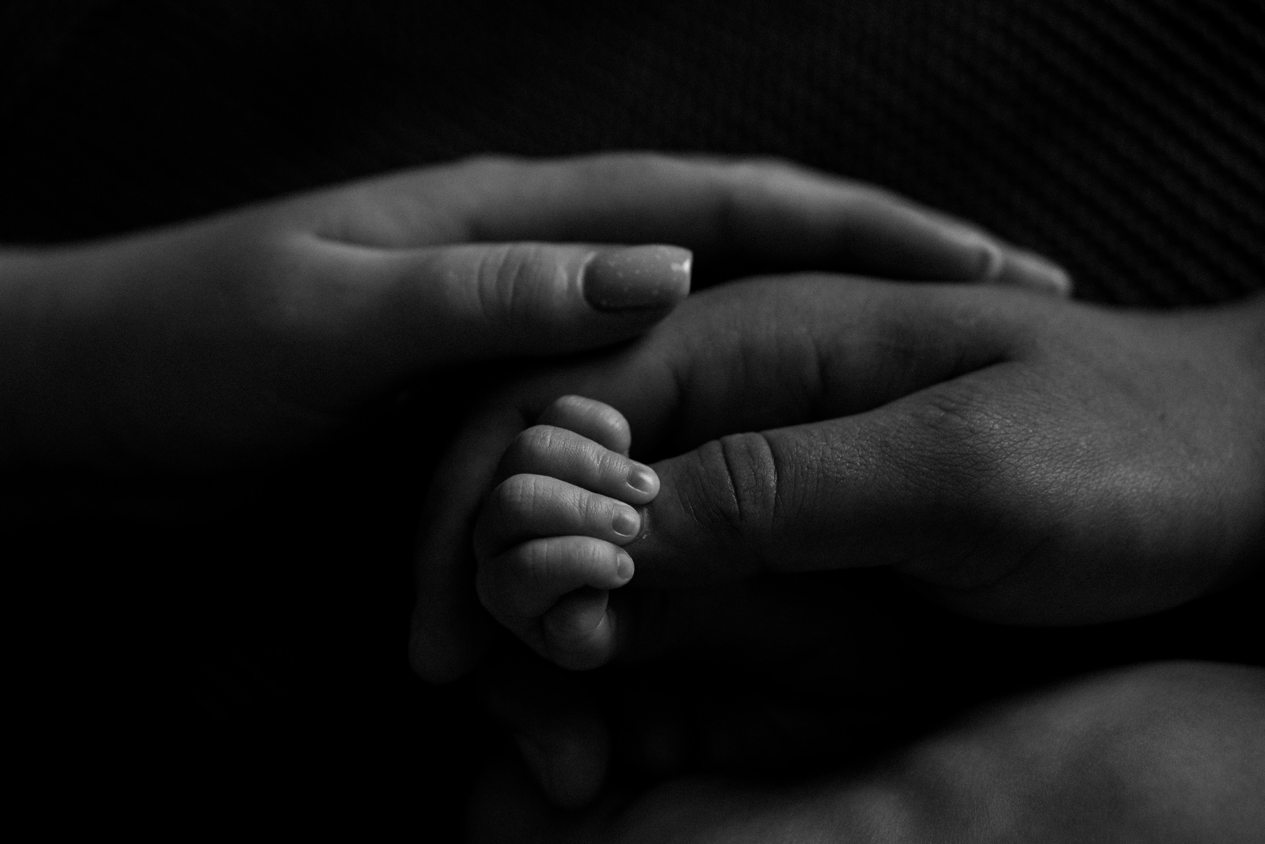 Петя с родителями, домашняя фотосессия. Фотограф Ольга Игорева