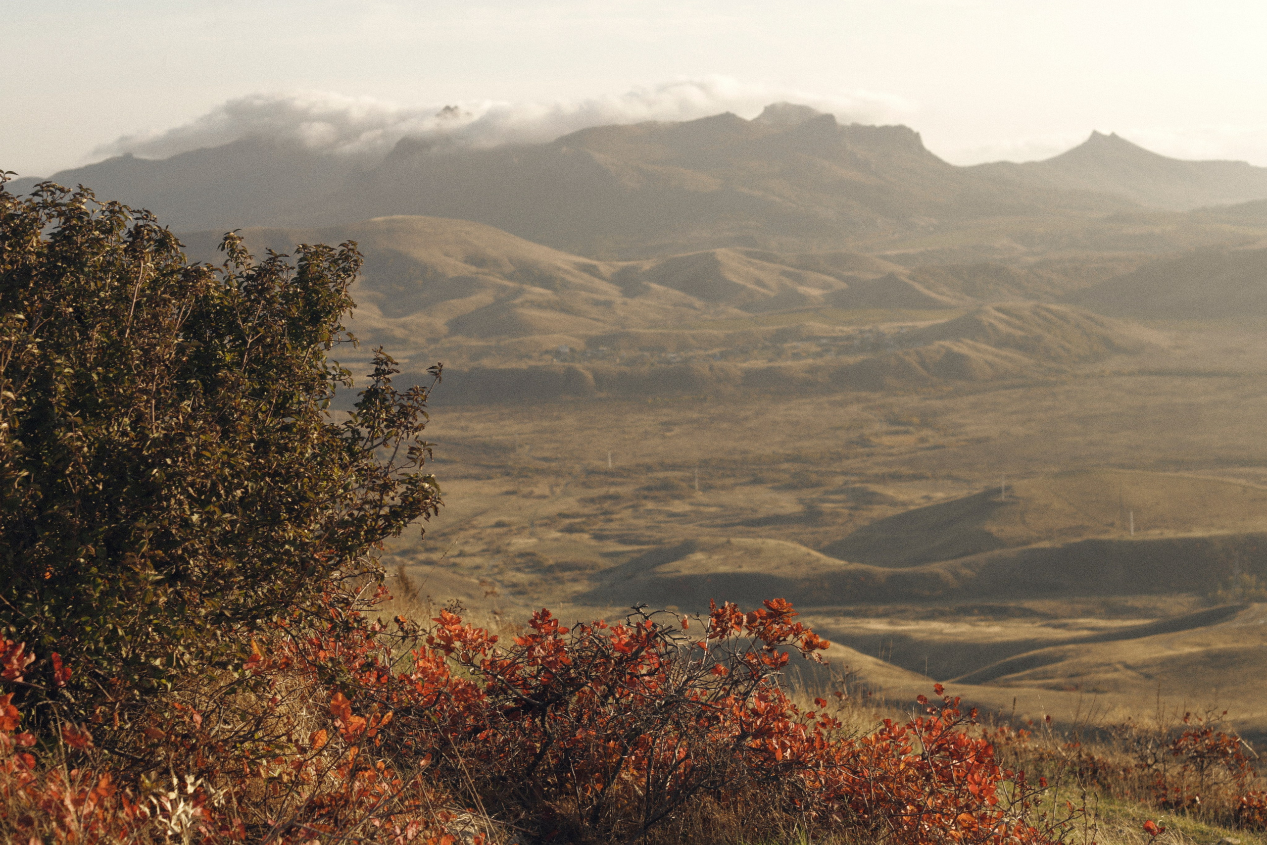 Диана и Алиса | Звездопад воспоминаний. Семейный фотограф в Феодосии и по Крыму Брежнева Алла