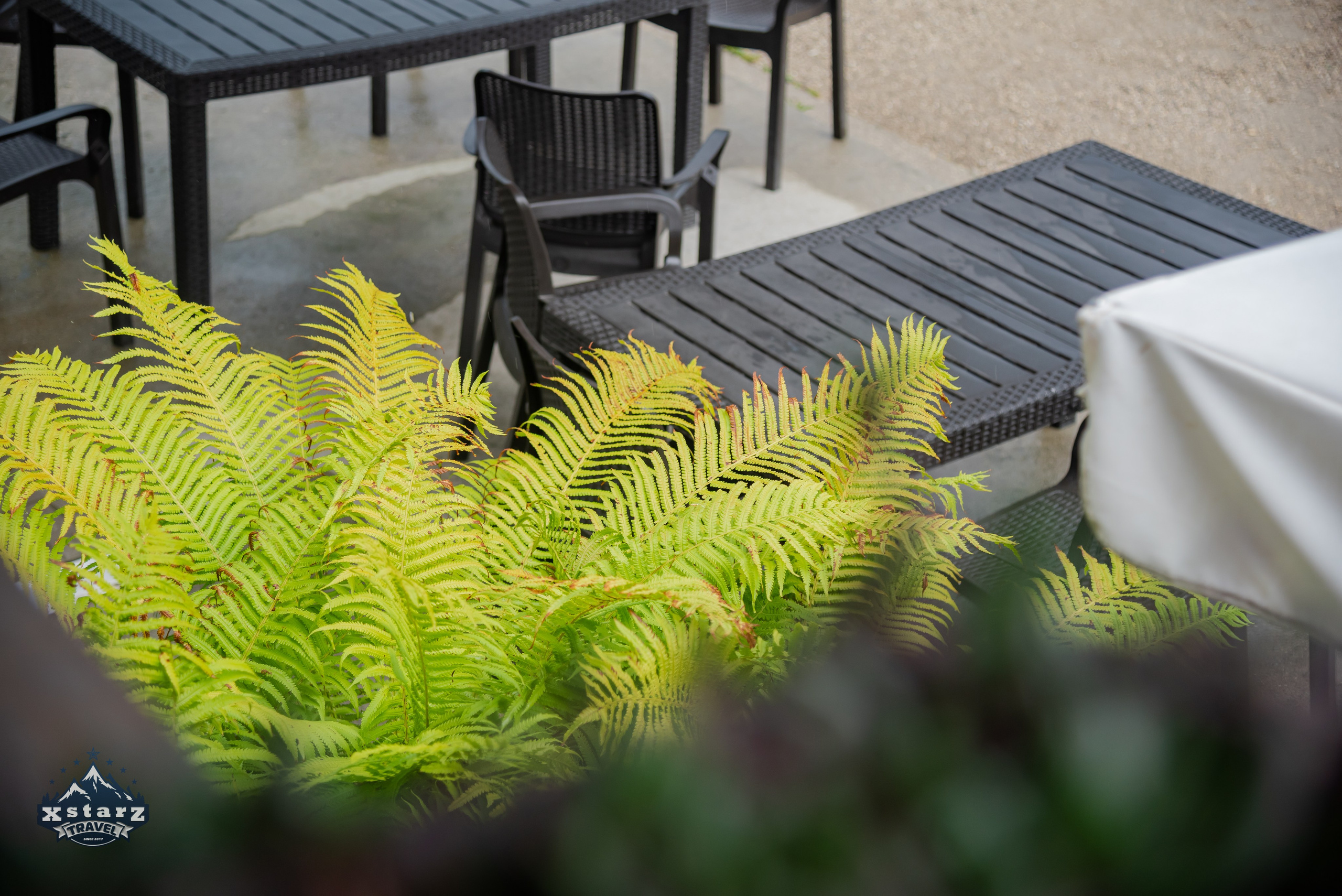 Тур в Абхазию. Фотограф Галина Нестерова