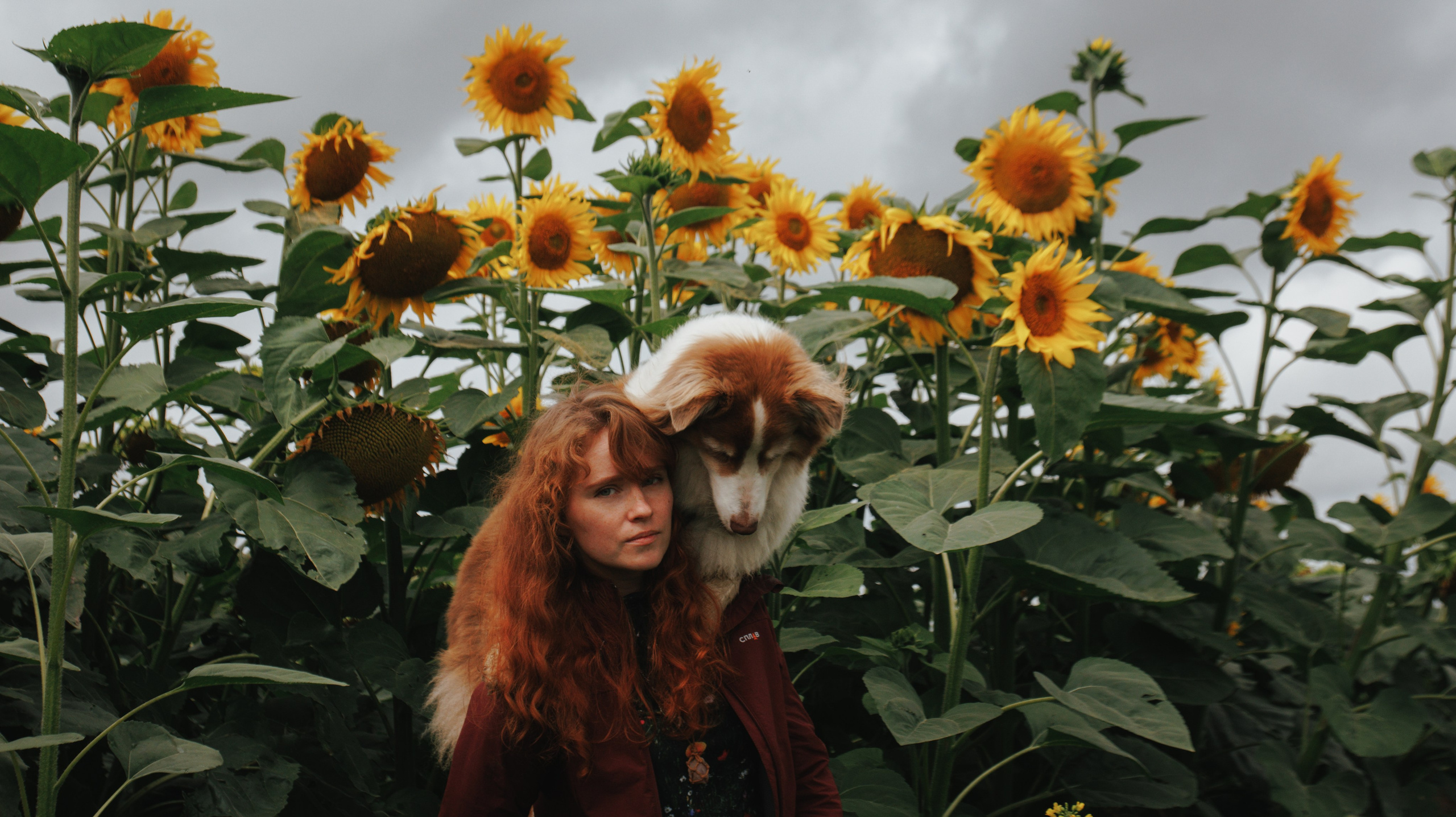 Волшебный лес с Тасей, Морошкой и Брусникой. Стас Соболь, фотограф анималист, репортажник, Москва