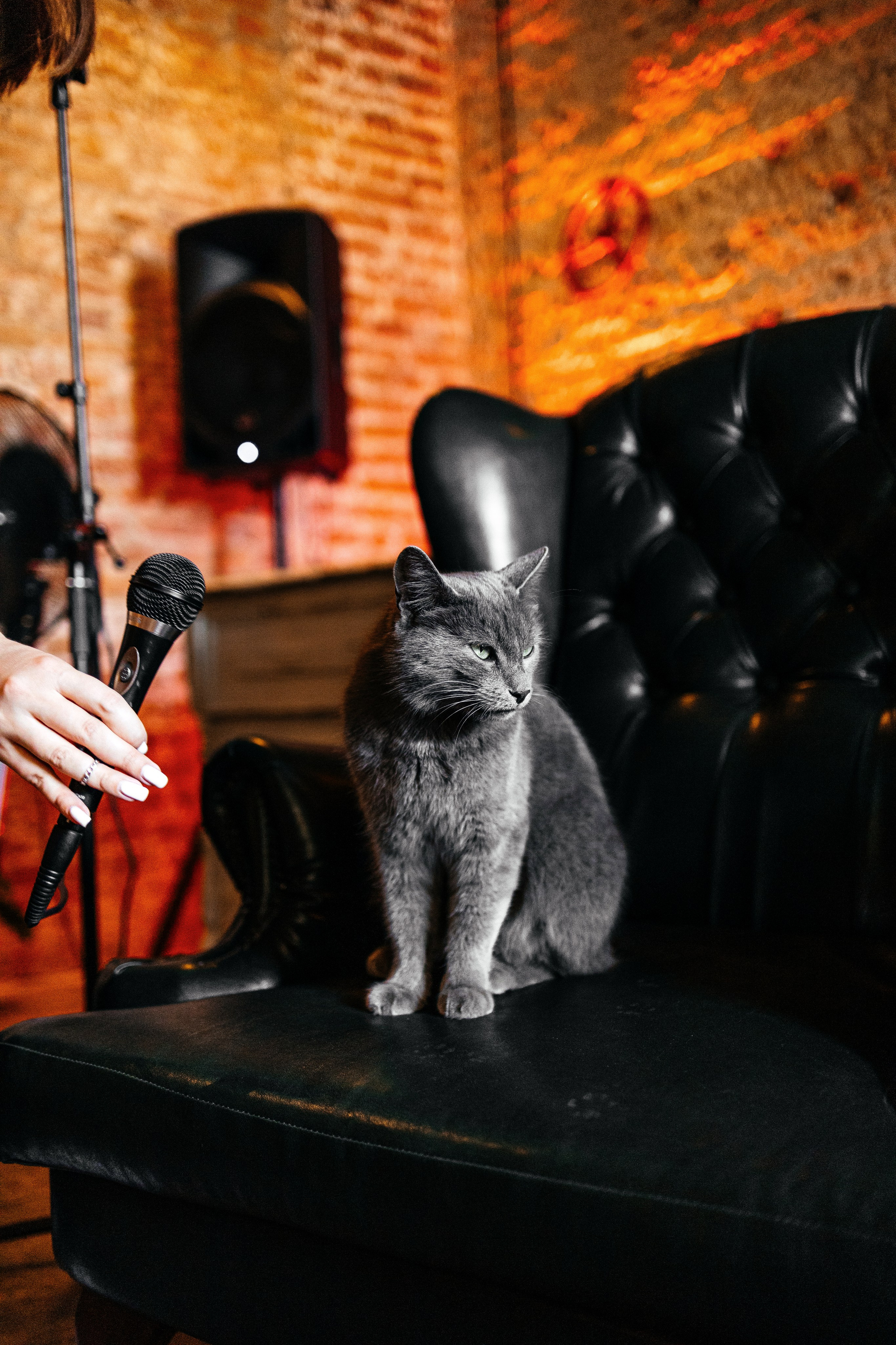 Женский круг репортаж. Фотограф в Краснодаре Лагунов Владимир