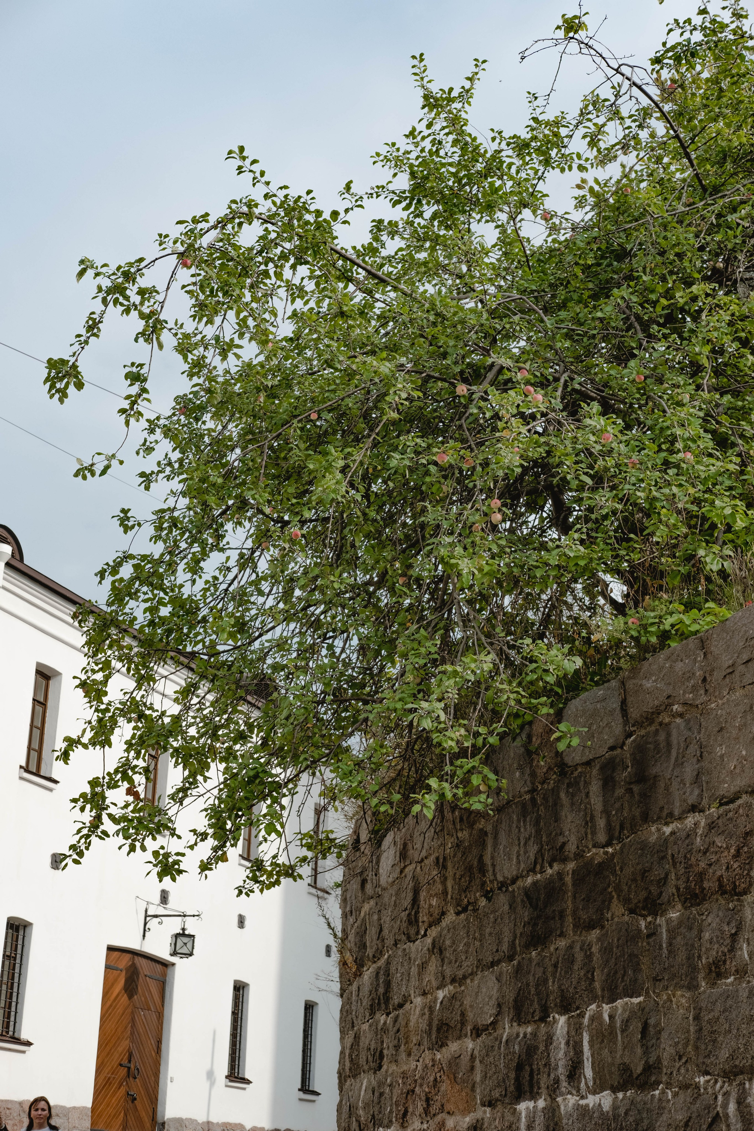 Выборг. Свадебный и семейный фотограф в Новосибирске, Санкт-Петербурге, Москве