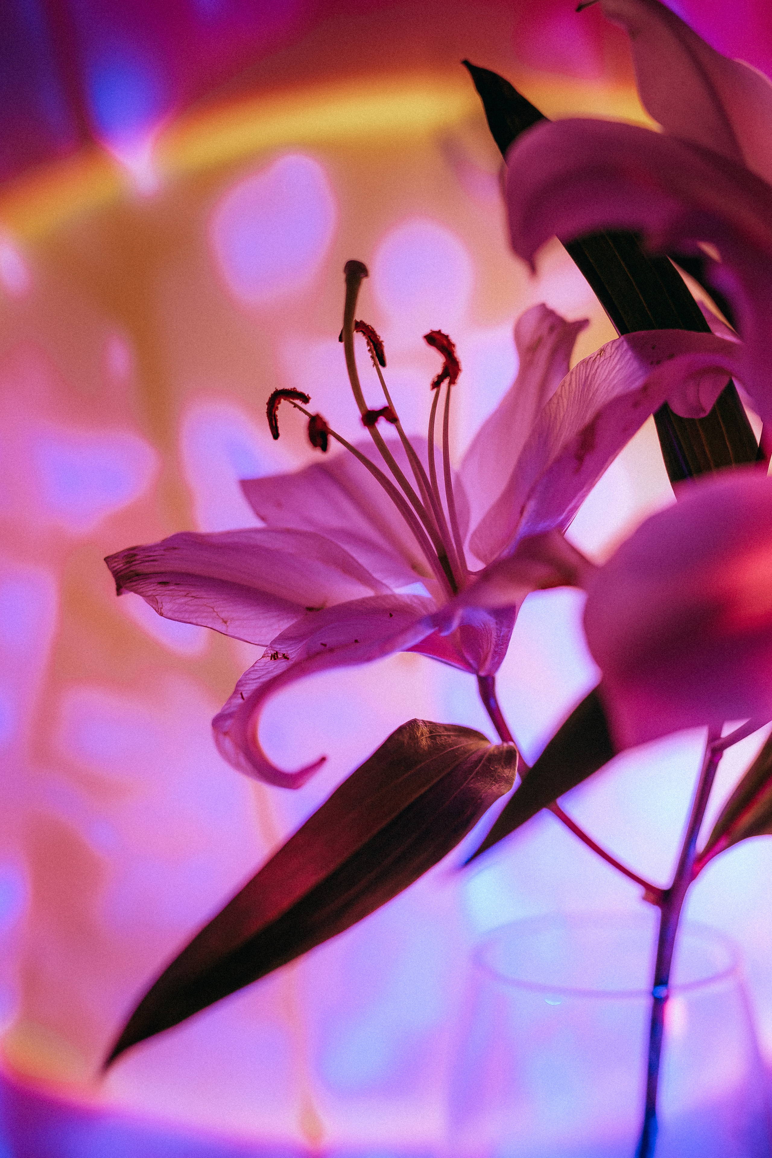 Контент-съёмка. Персональный фотограф-видеограф и наставник Катерина Вильская