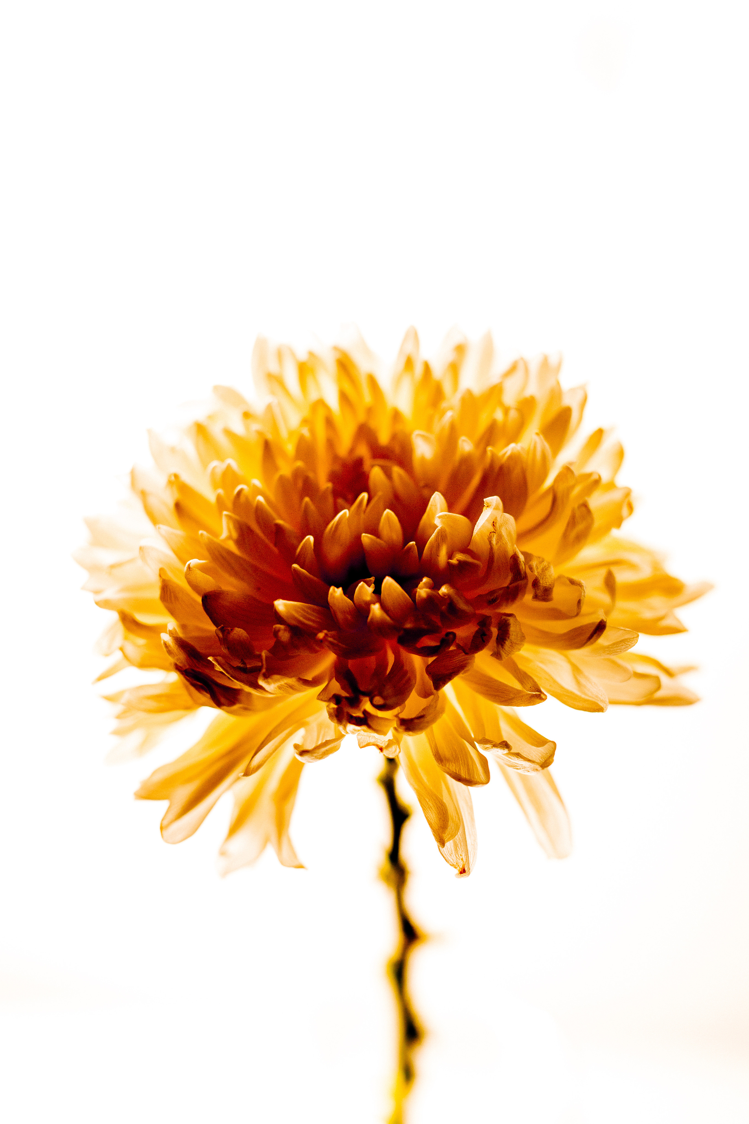 Контент-съёмка. Персональный фотограф-видеограф и наставник Катерина Вильская