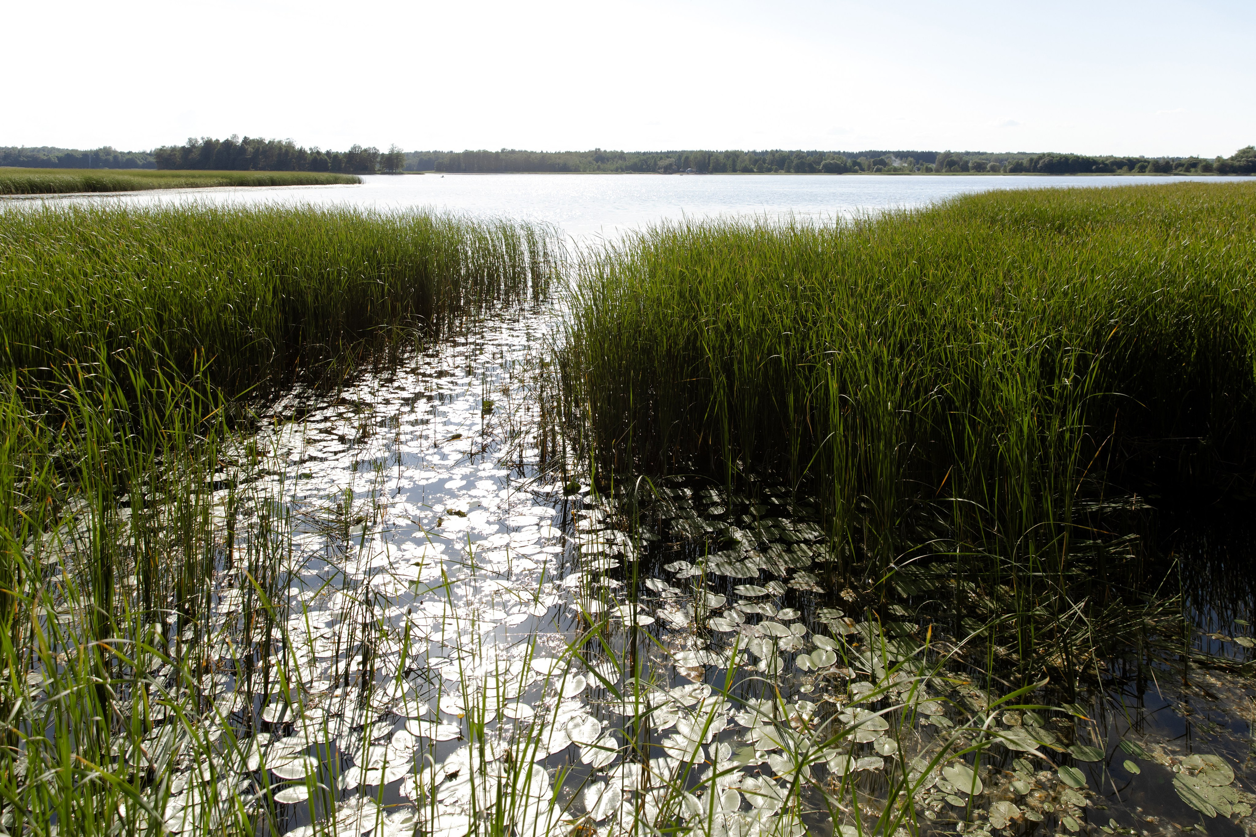 Свадебный день Влада и Кристины. Свадебный фотограф Анна Бабахина