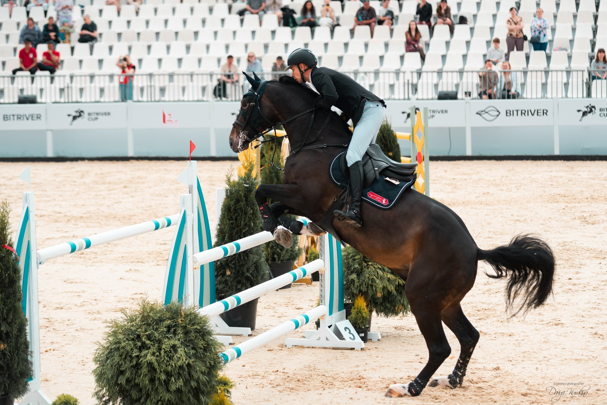 BITRIVER CUP 2023. Конный фотограф Куракина Дарья • Фотосессии с лошадьми