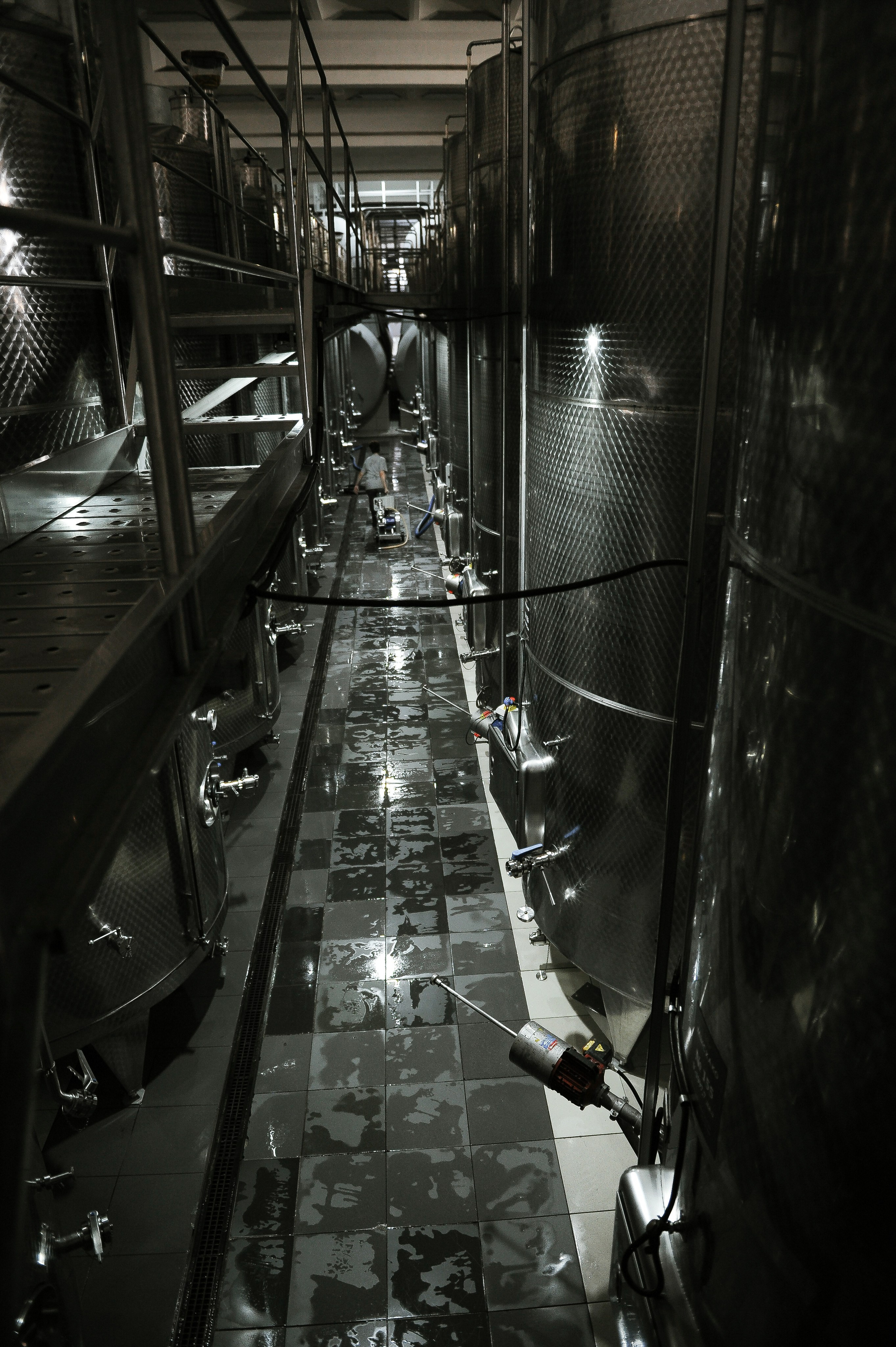 Винодельня Мысхако. Фотограф, визажист. Москва