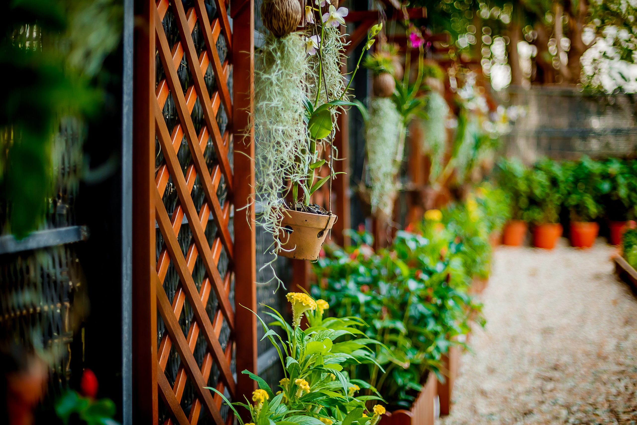 Репортажный фотограф Ялта. Репортажный фотограф Ялта