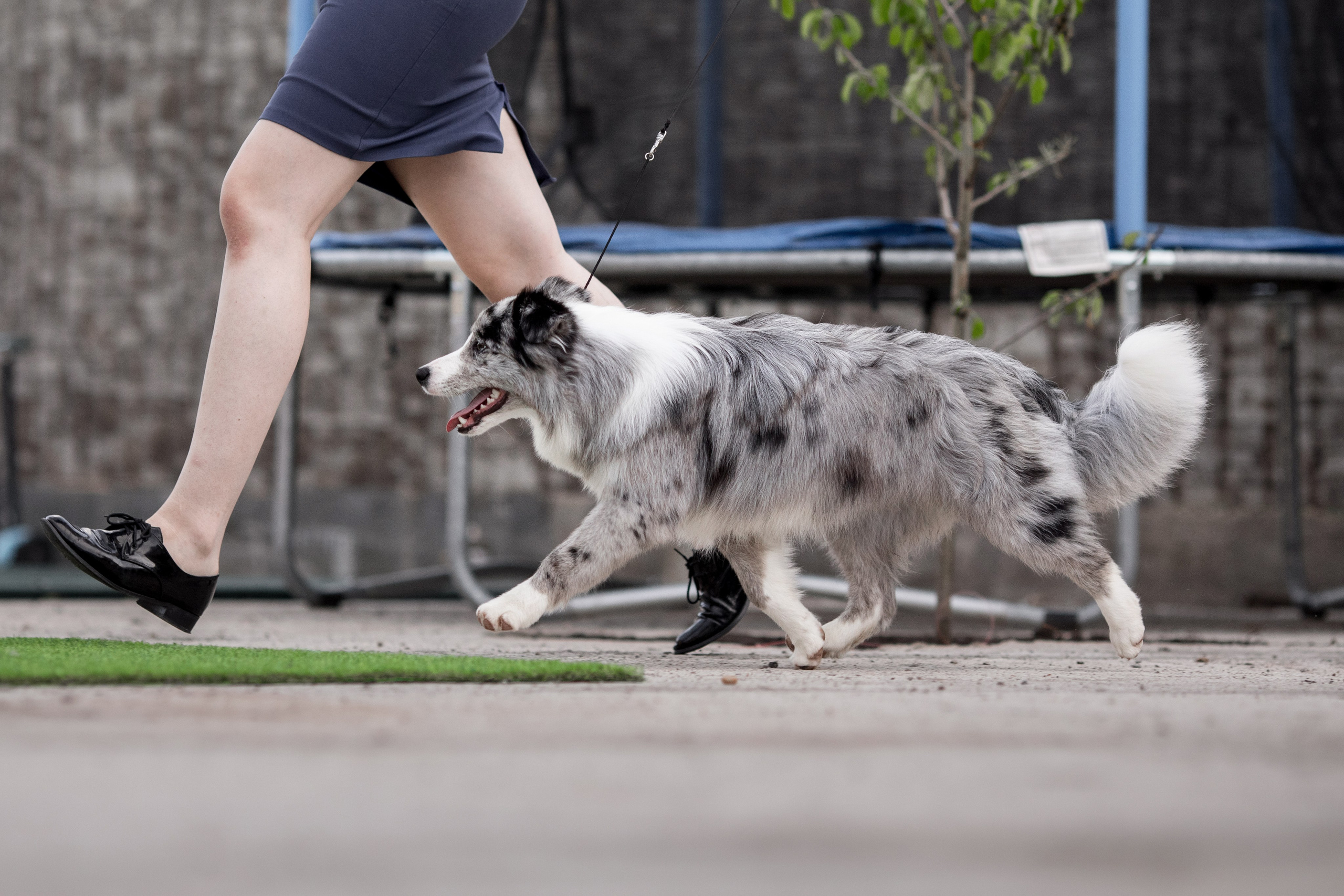 Роскошь в ростошах. О нас