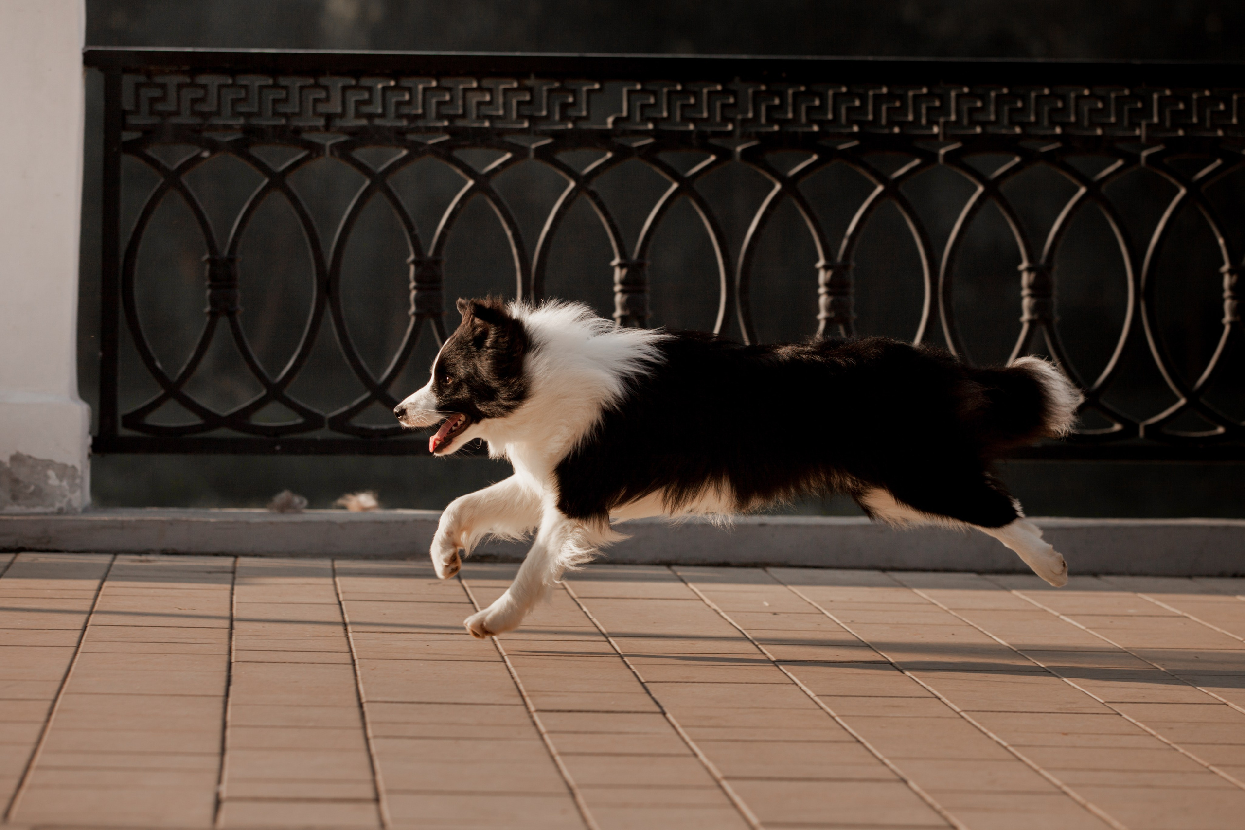 Сочный рассвет, на который решились. О нас