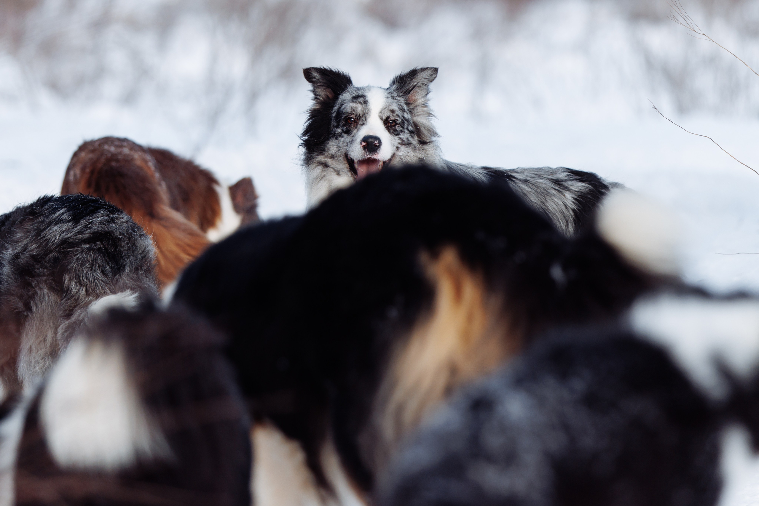 Яркий январь. О нас