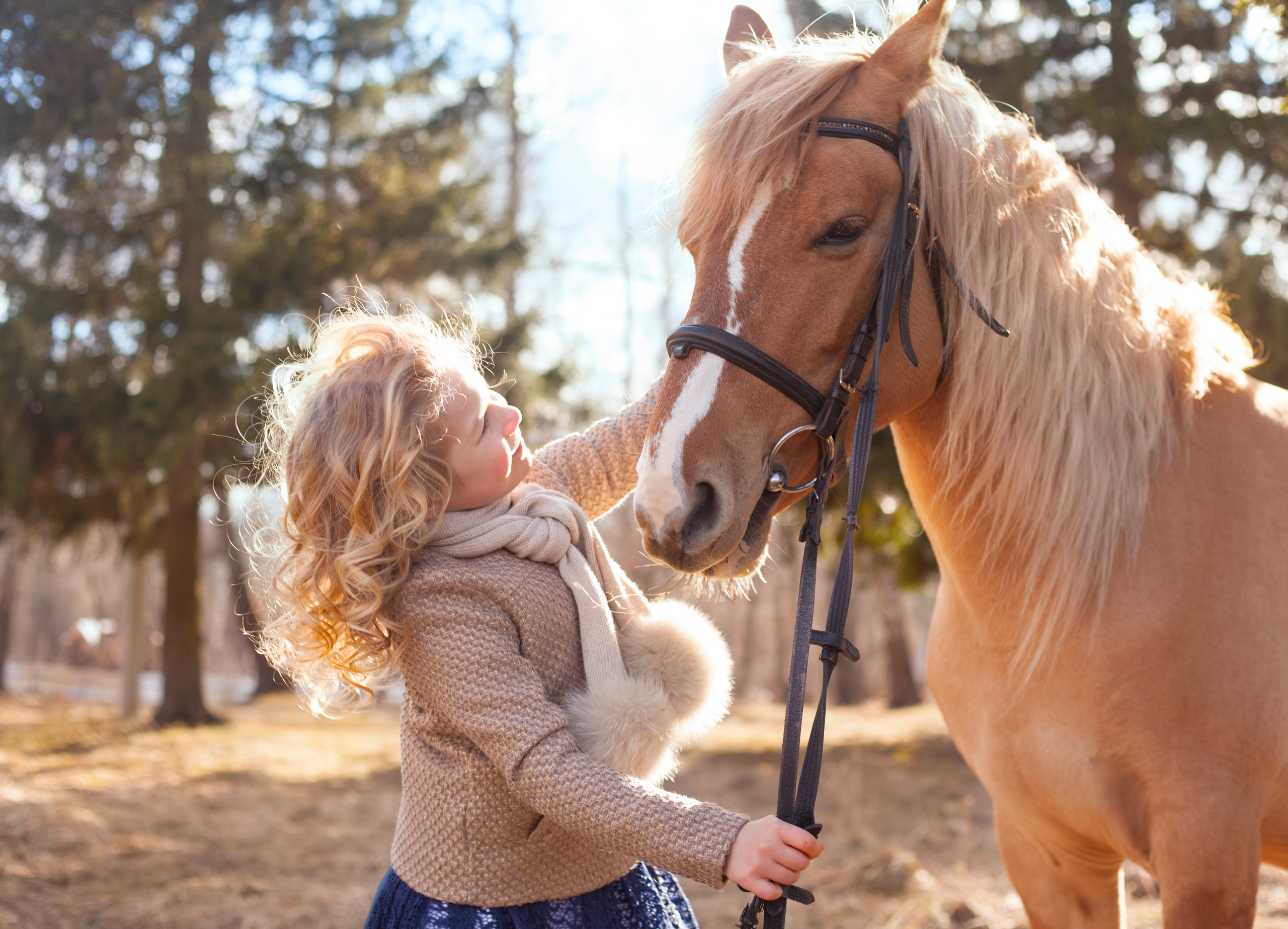 Фотограф Алёна Потёмкина