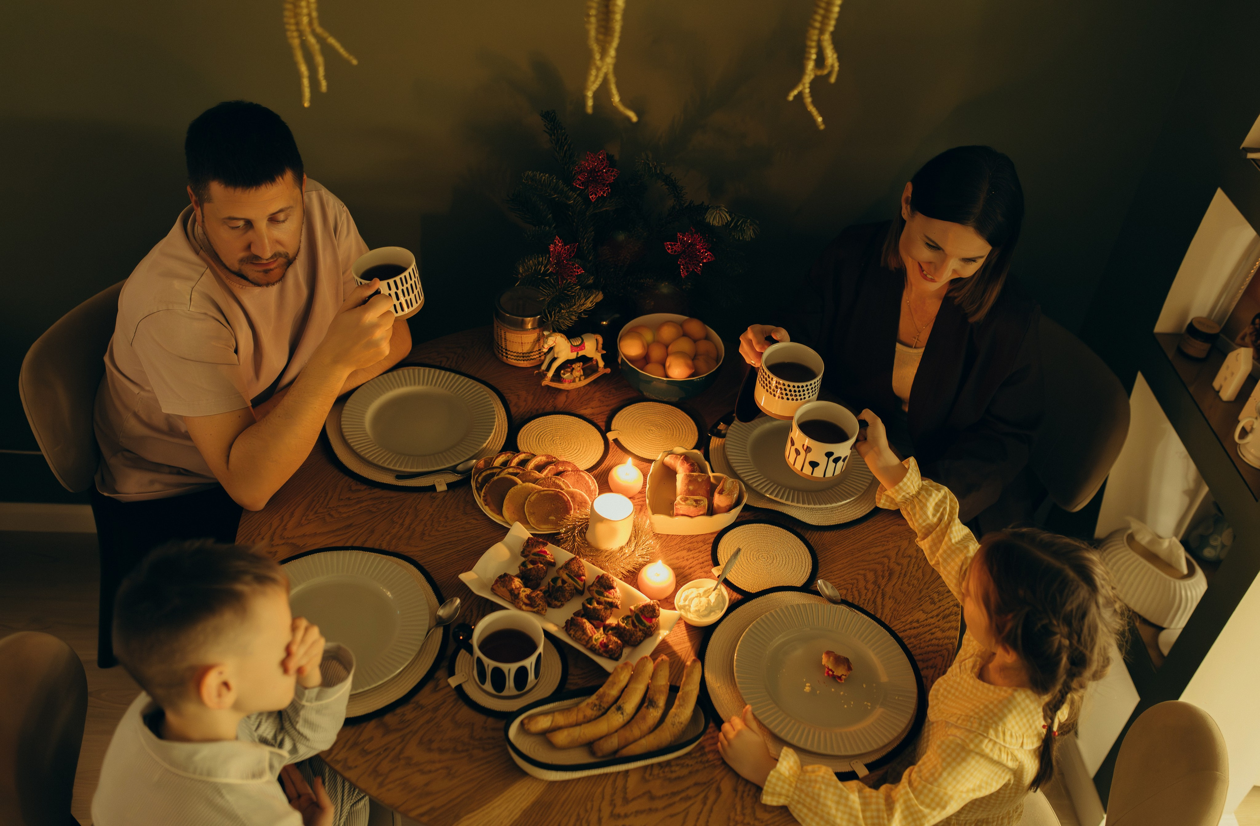 Домашняя история. Meryfotoidea