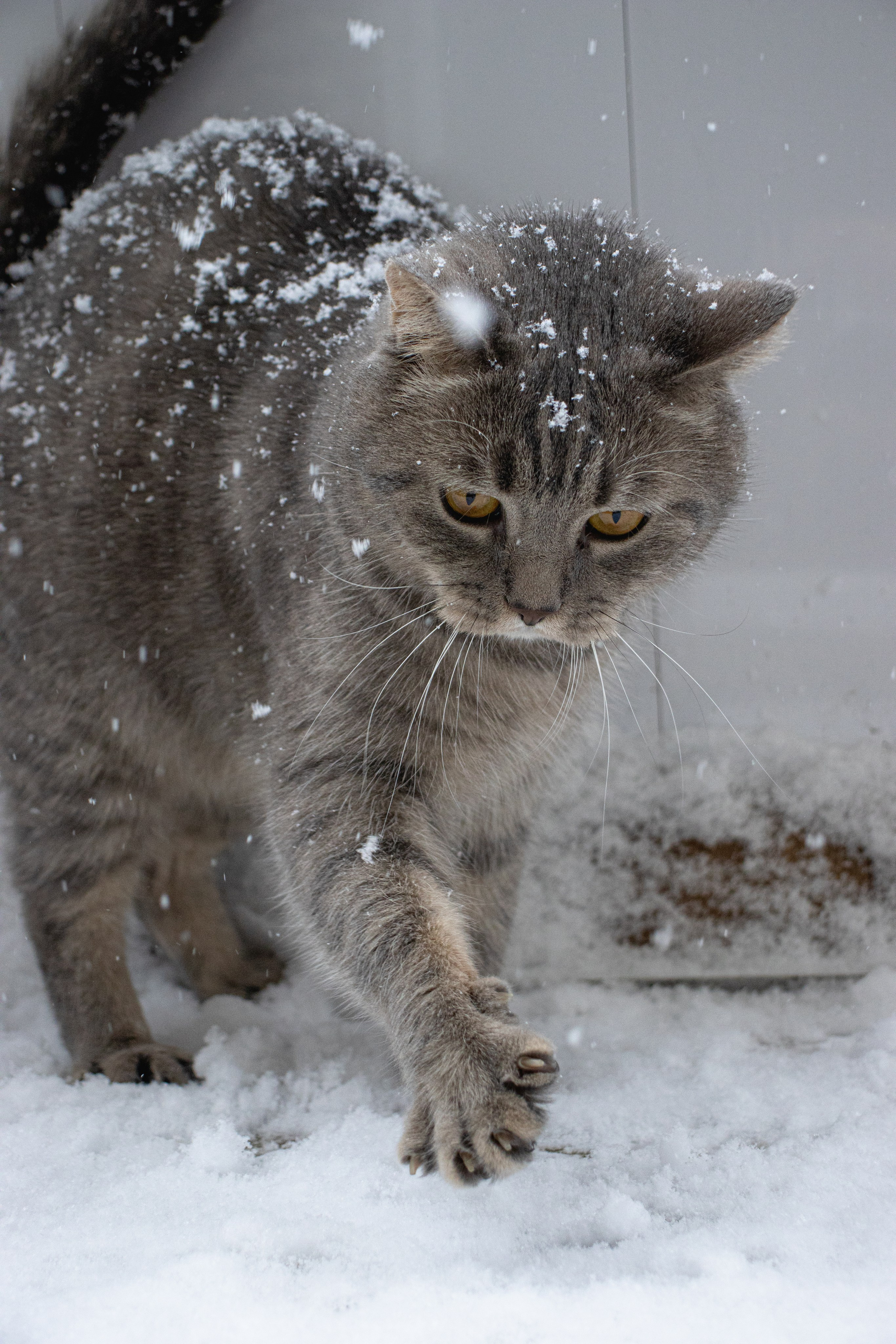 М А Р Т И Н. — Digital Noise —